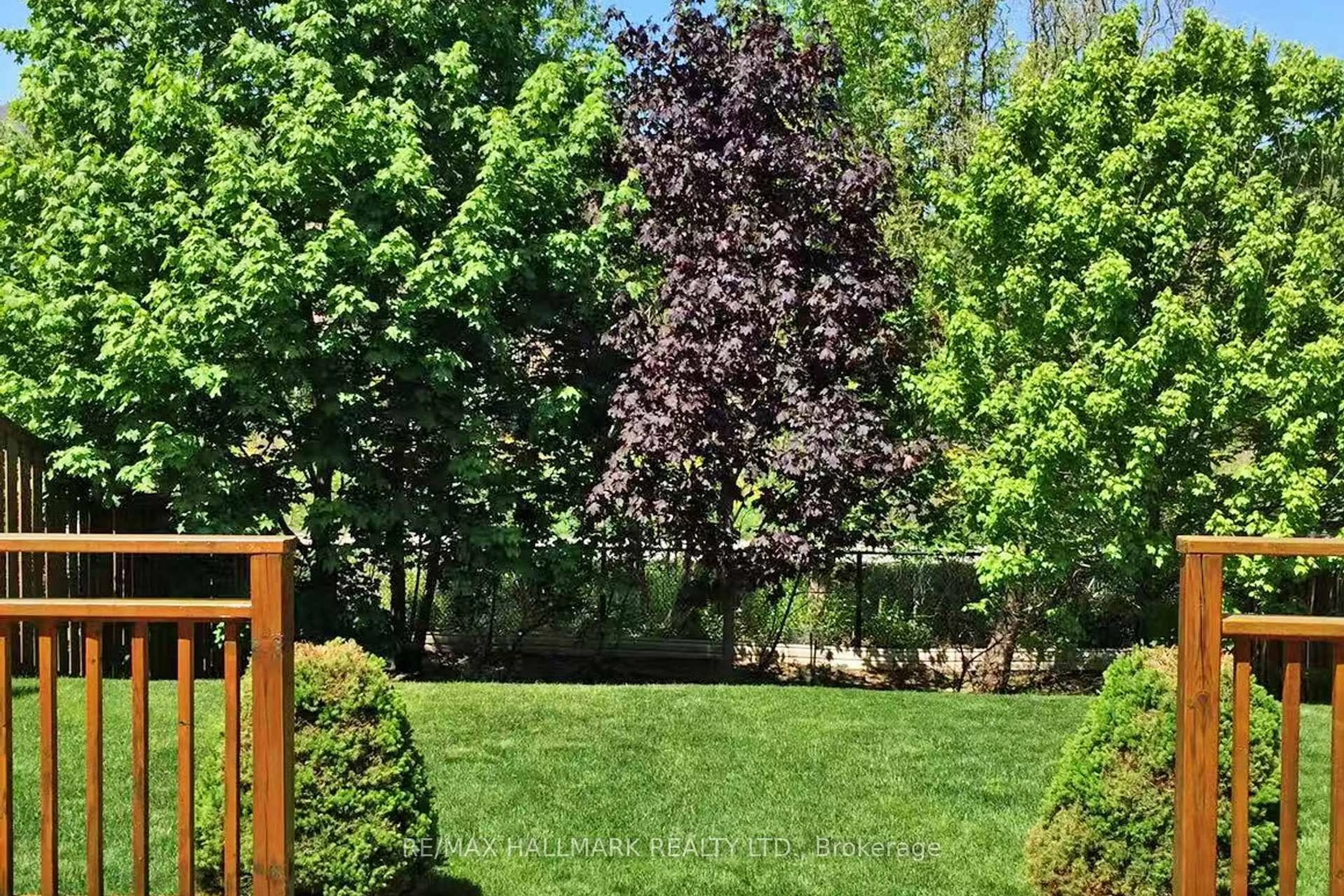 Patio, forest/trees view for 42 Mayan Ave, Richmond Hill Ontario L4S 2W9