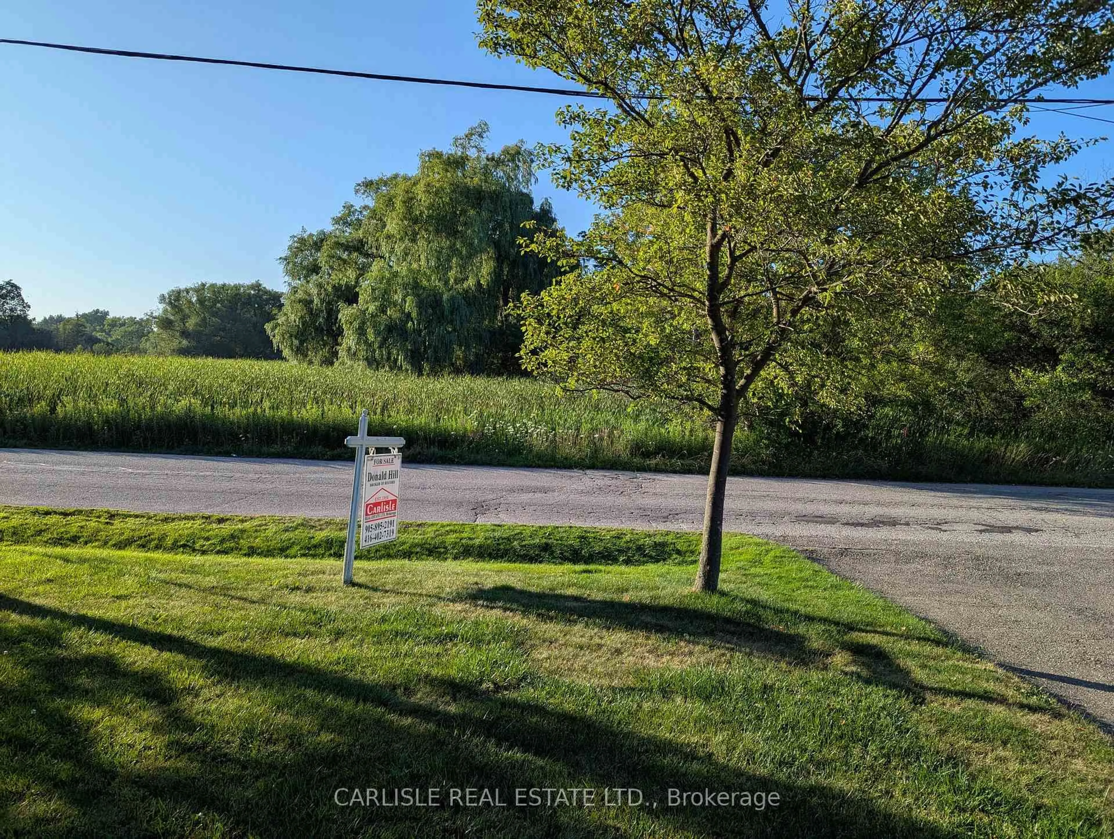 A pic from outside/outdoor area/front of a property/back of a property/a pic from drone, water/lake/river/ocean view for 9 George St, Richmond Hill Ontario L4E 2T4