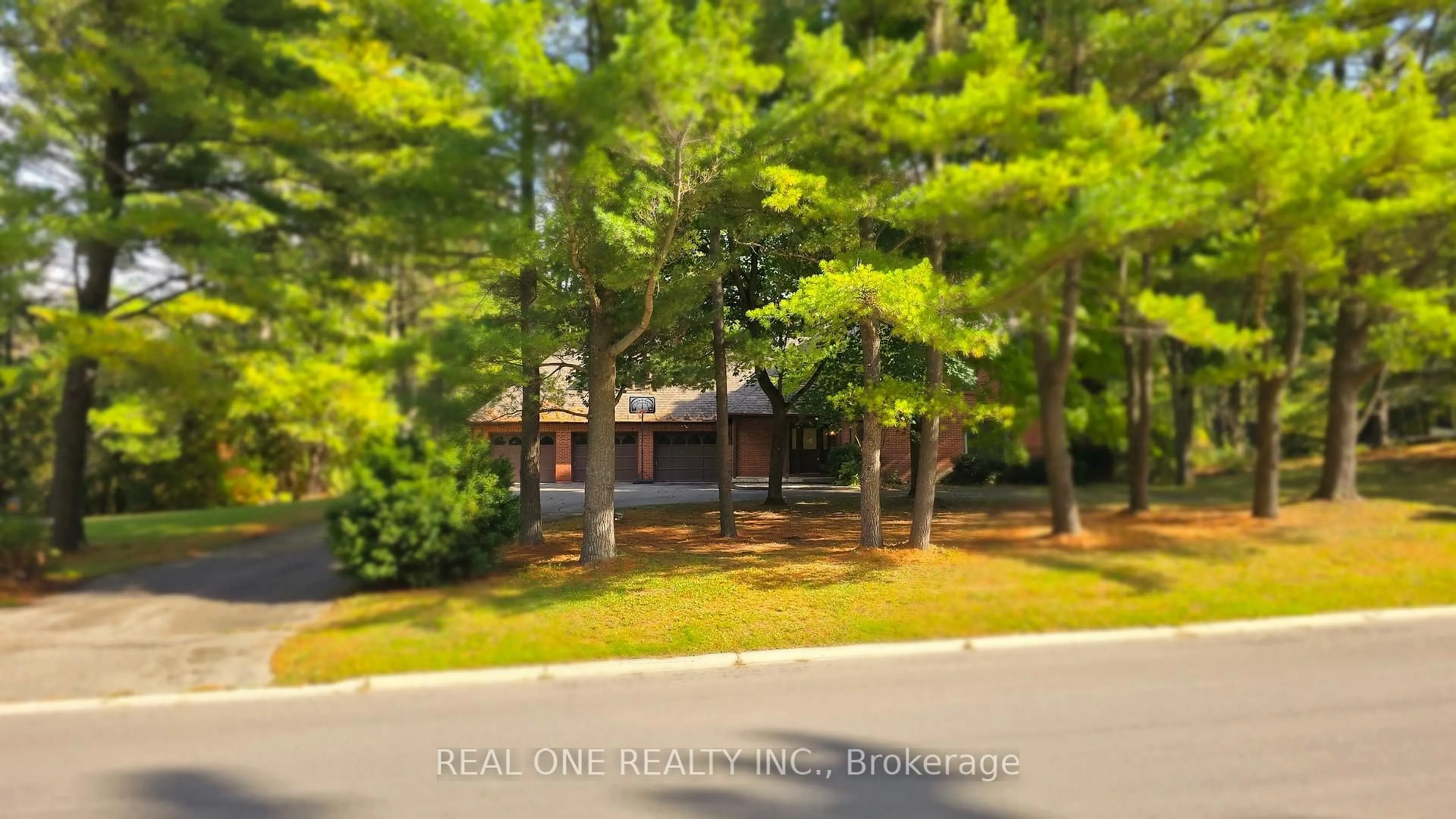 A pic from outside/outdoor area/front of a property/back of a property/a pic from drone, forest/trees view for 465 Woodland Acres Cres, Vaughan Ontario L6A 1G2