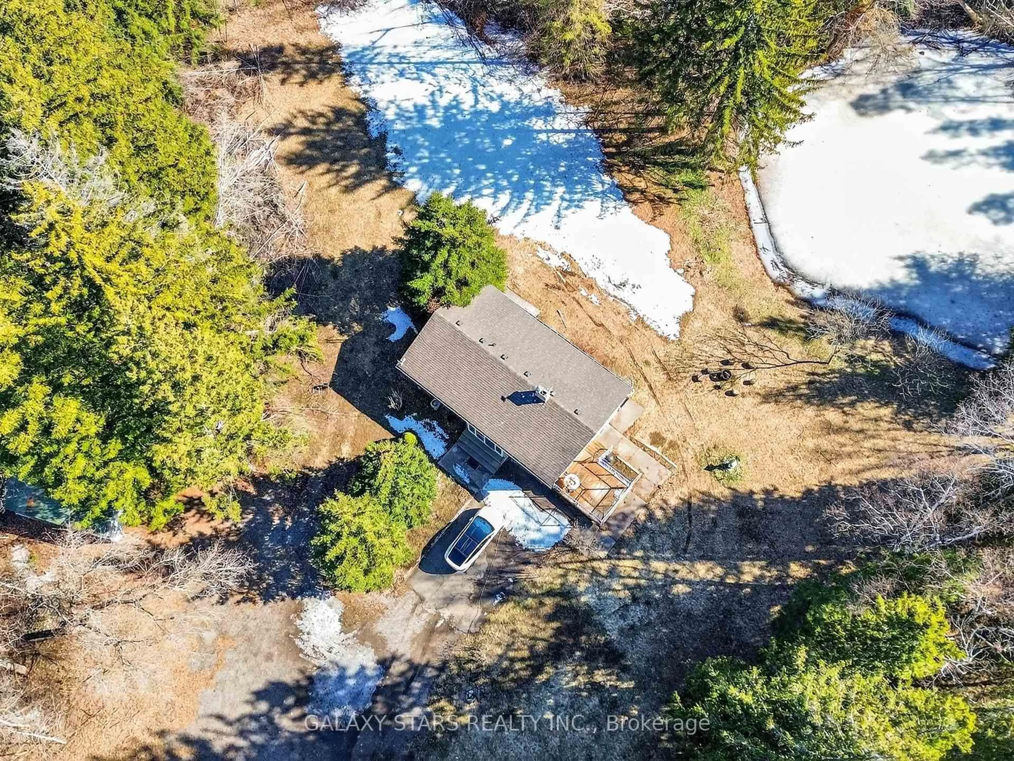 A pic from outside/outdoor area/front of a property/back of a property/a pic from drone, forest/trees view for 55 Newman Ave, Richmond Hill Ontario L4E 3E5