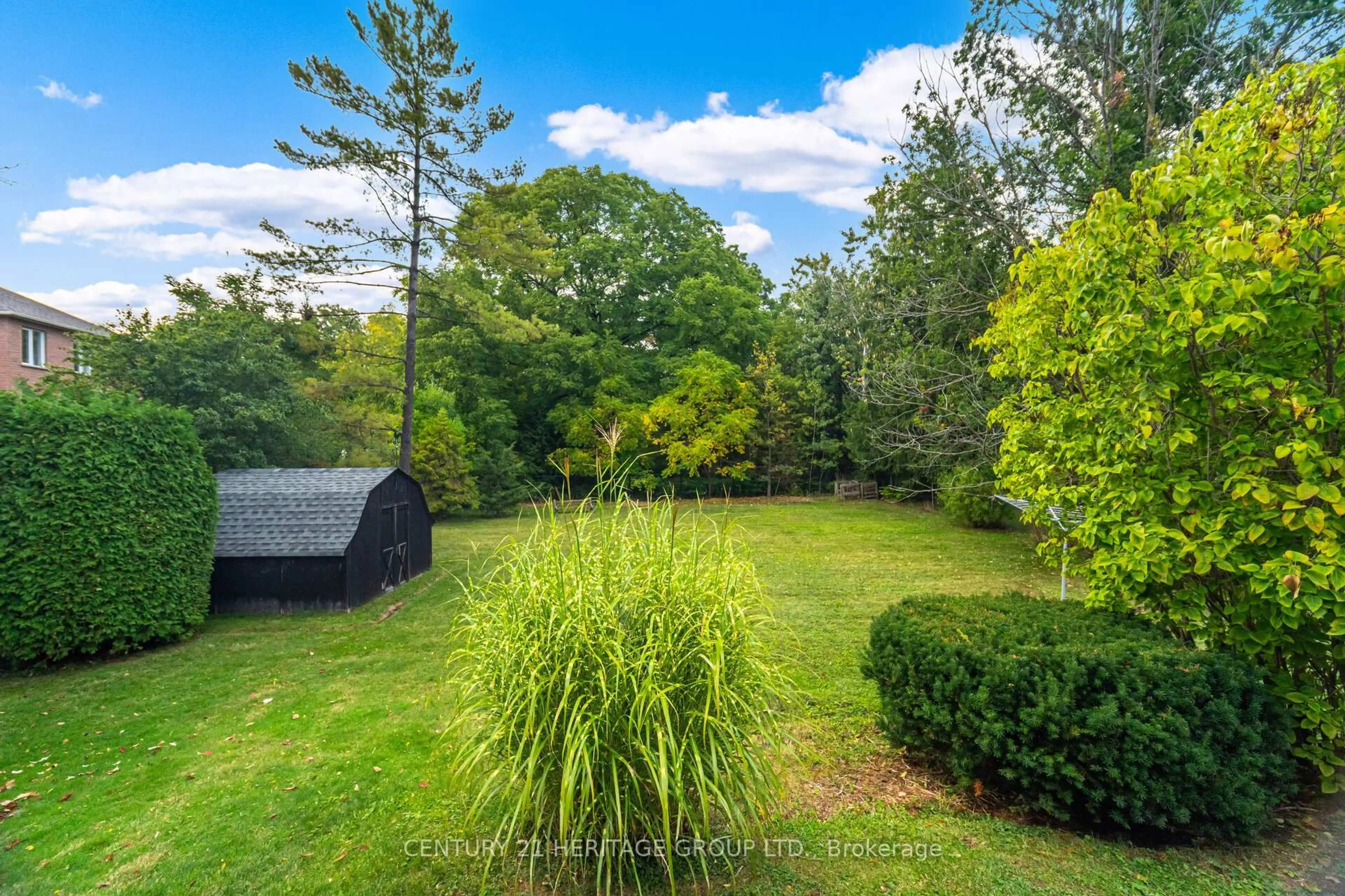 A pic from outside/outdoor area/front of a property/back of a property/a pic from drone, forest/trees view for 22 Poplar Dr, Richmond Hill Ontario L4E 2X6