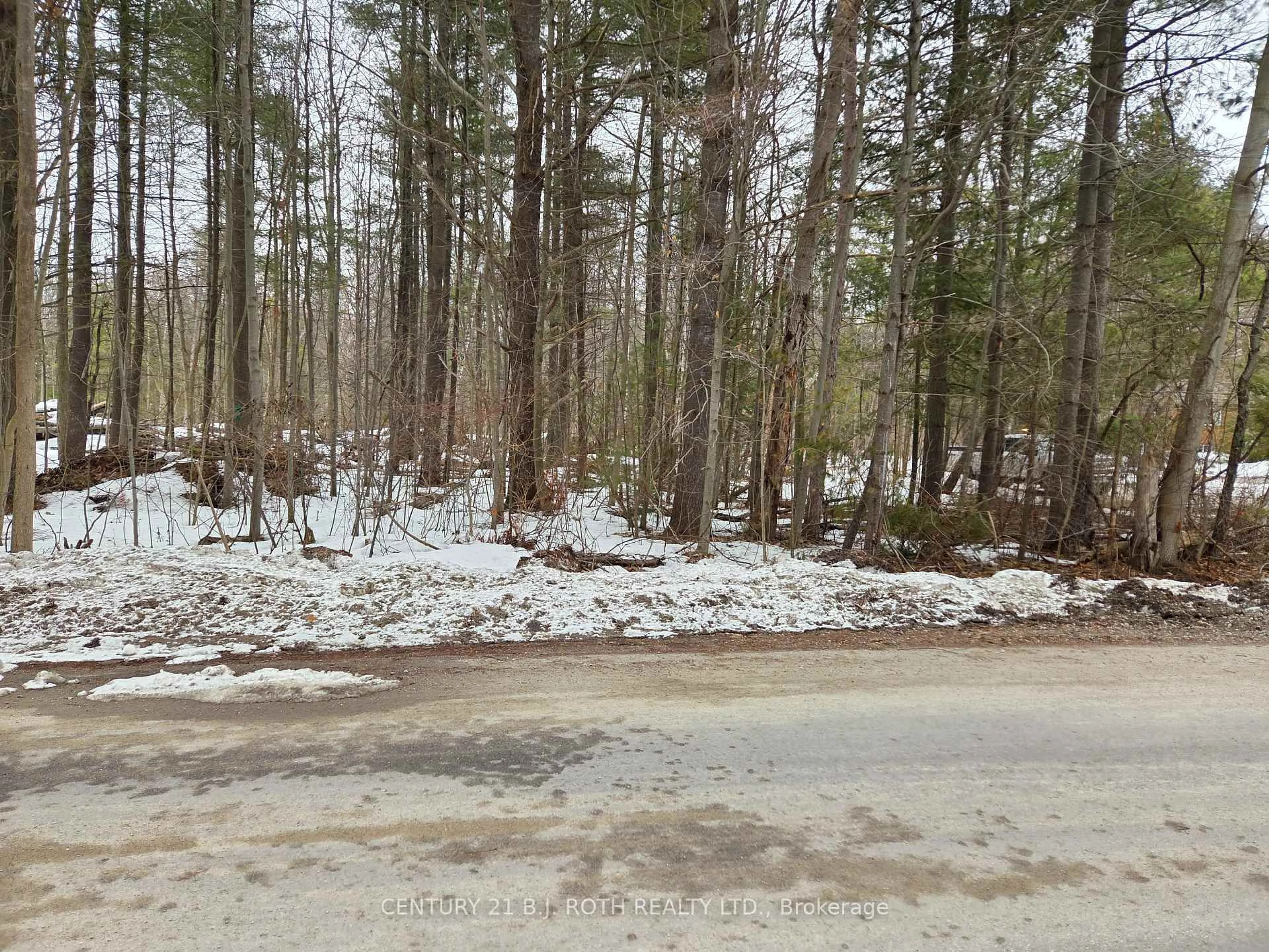 Blurry image for 3183 Cove Ave, Innisfil Ontario L9S 2K7