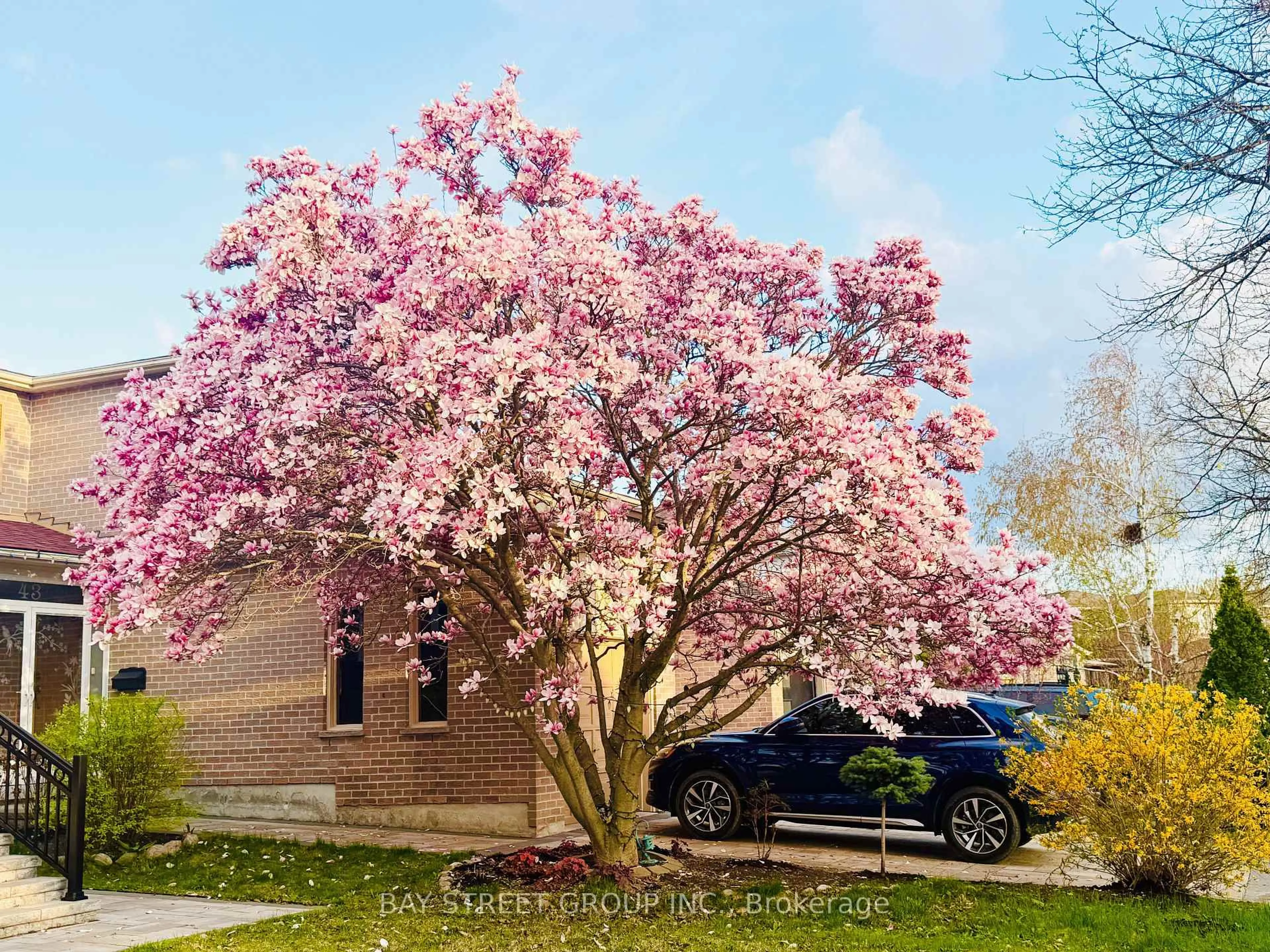 Unknown for 43 Bluesky Cres, Richmond Hill Ontario L4C 8J2