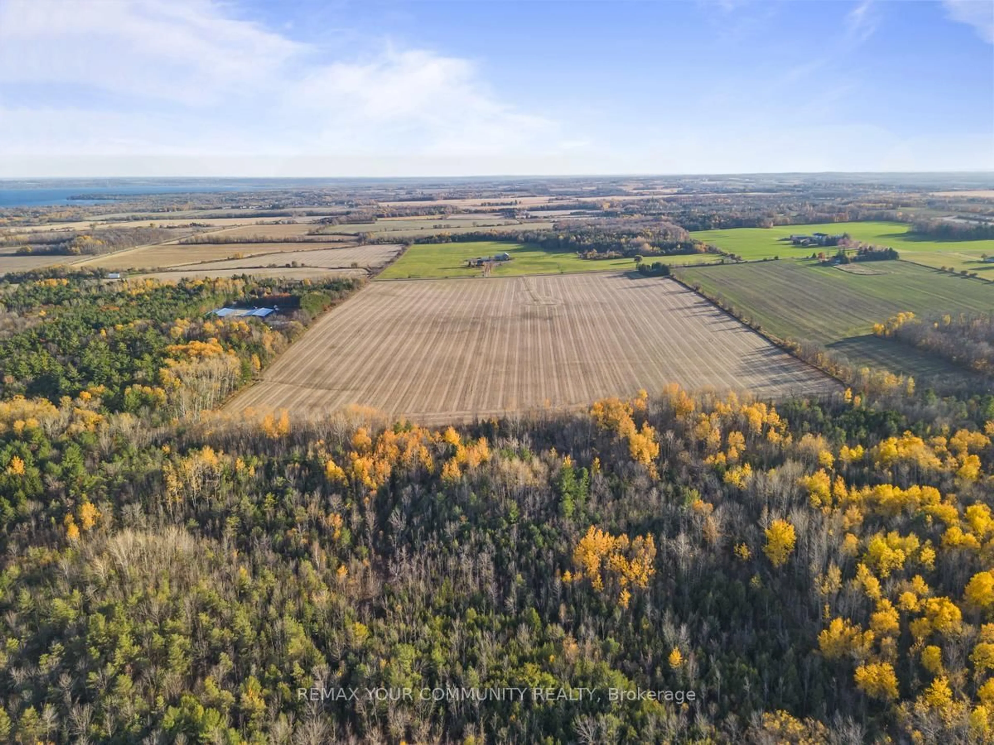 A pic from outside/outdoor area/front of a property/back of a property/a pic from drone, forest/trees view for 1703 Innisfil Beach Rd, Innisfil Ontario L9S 4B3