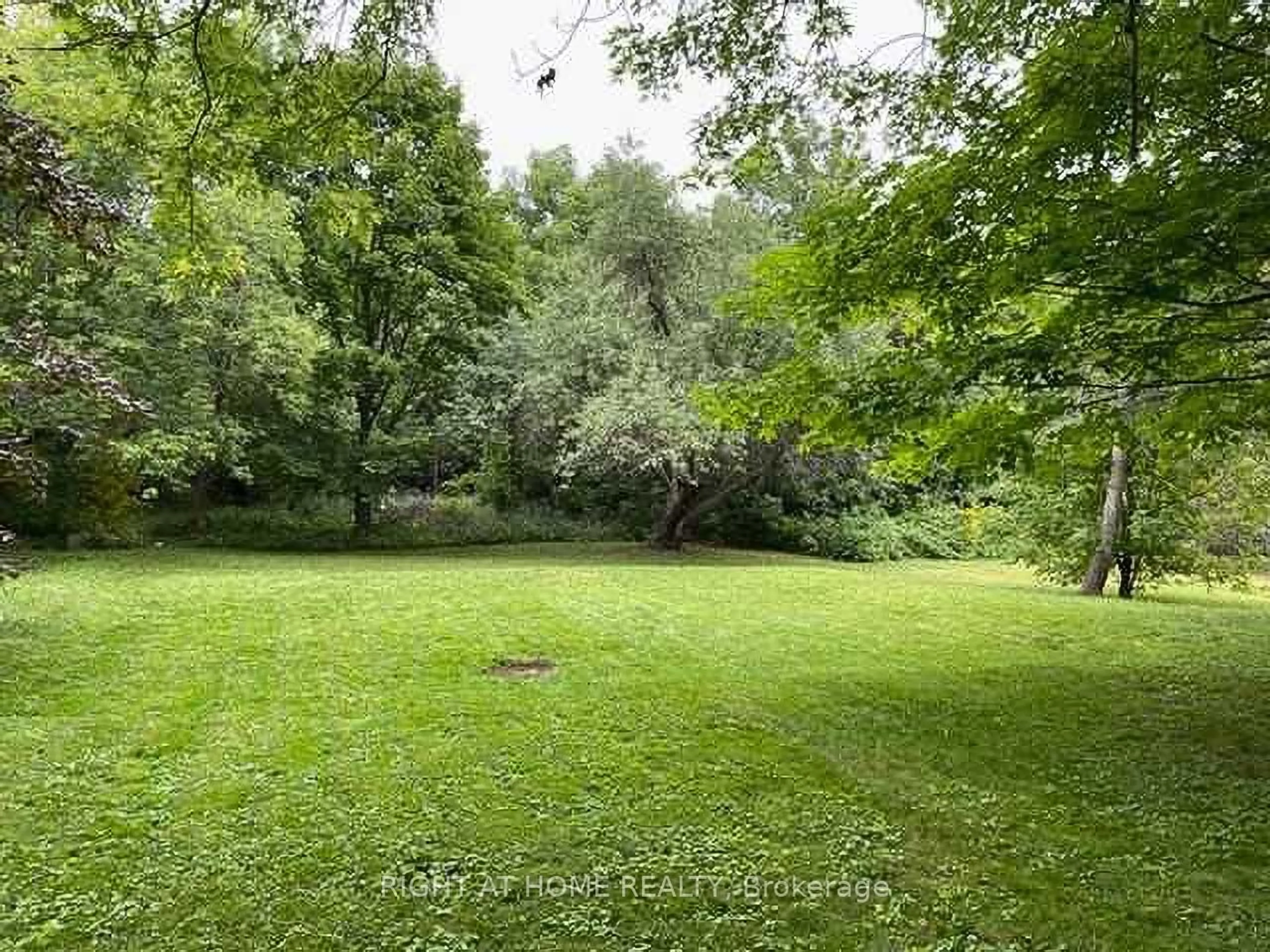 A pic from outside/outdoor area/front of a property/back of a property/a pic from drone, forest/trees view for 735 Srigley St, Newmarket Ontario L3Y 1X6