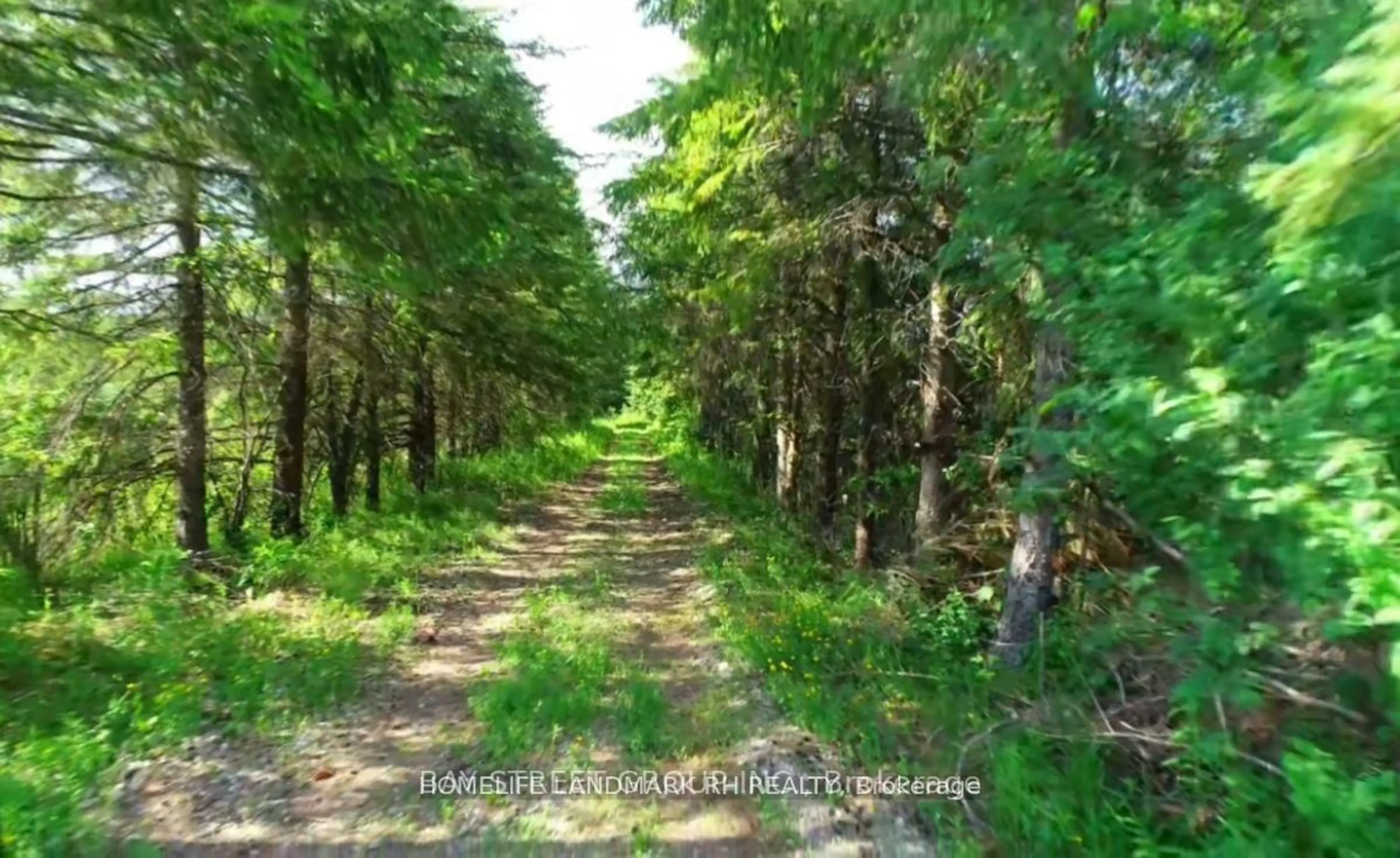 Blurry image for 4870 Elgin Mills Rd, Markham Ontario L6C 1L5