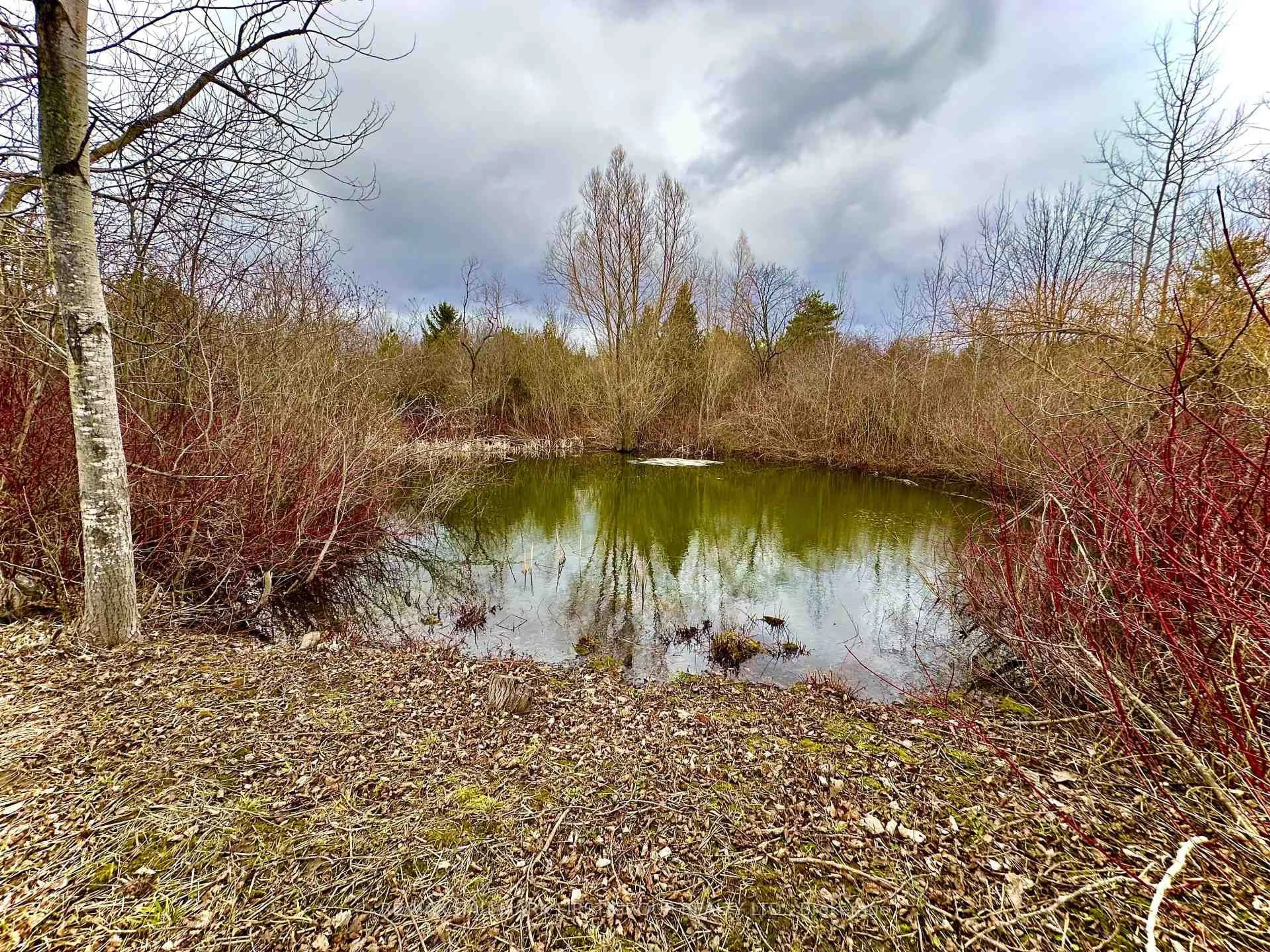 Blurry image for 2269 Concession 4, Uxbridge Ontario L0C 1A0