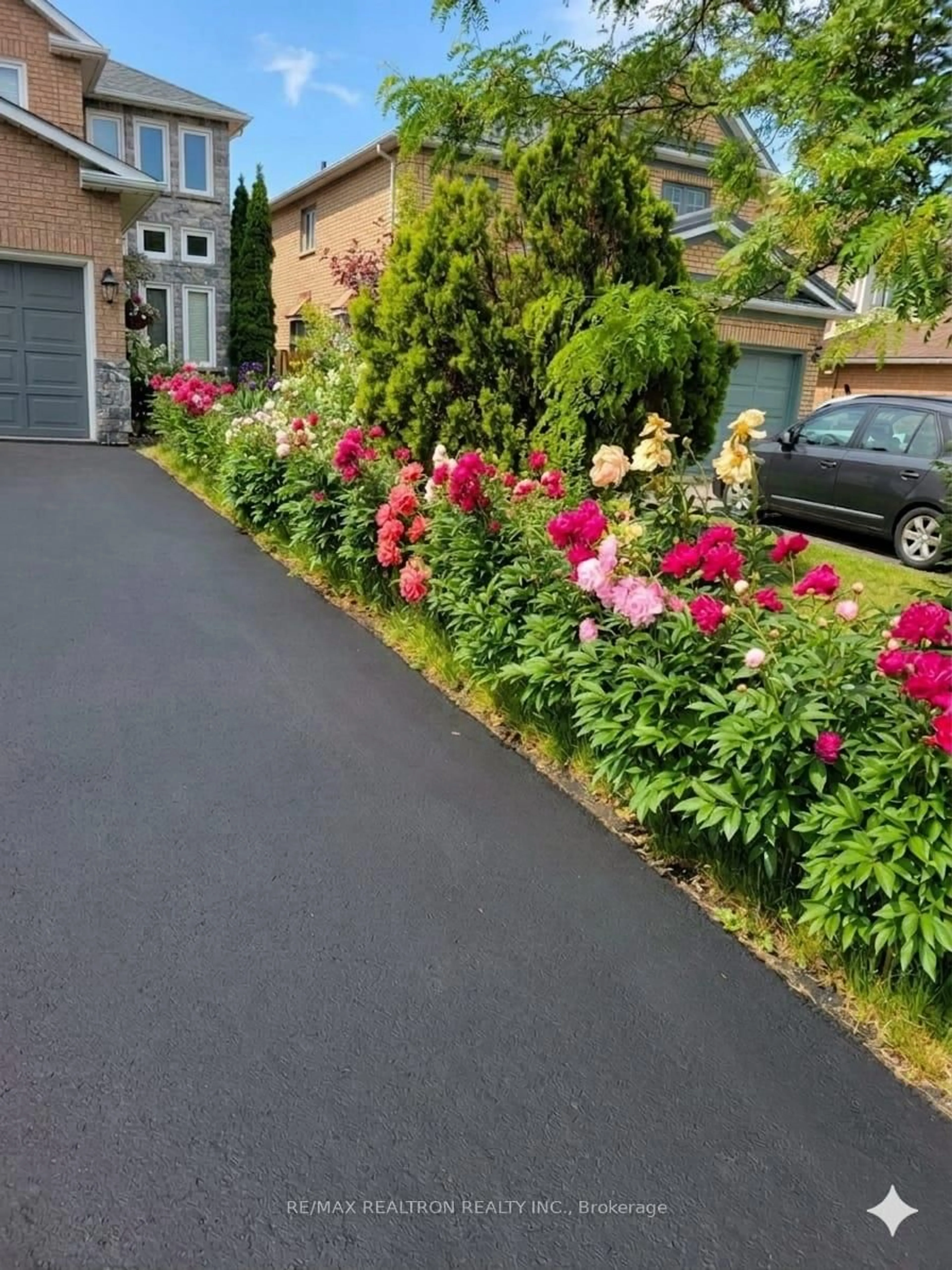 Unknown for 114 Widdifield Ave, Newmarket Ontario L3X 1Z3