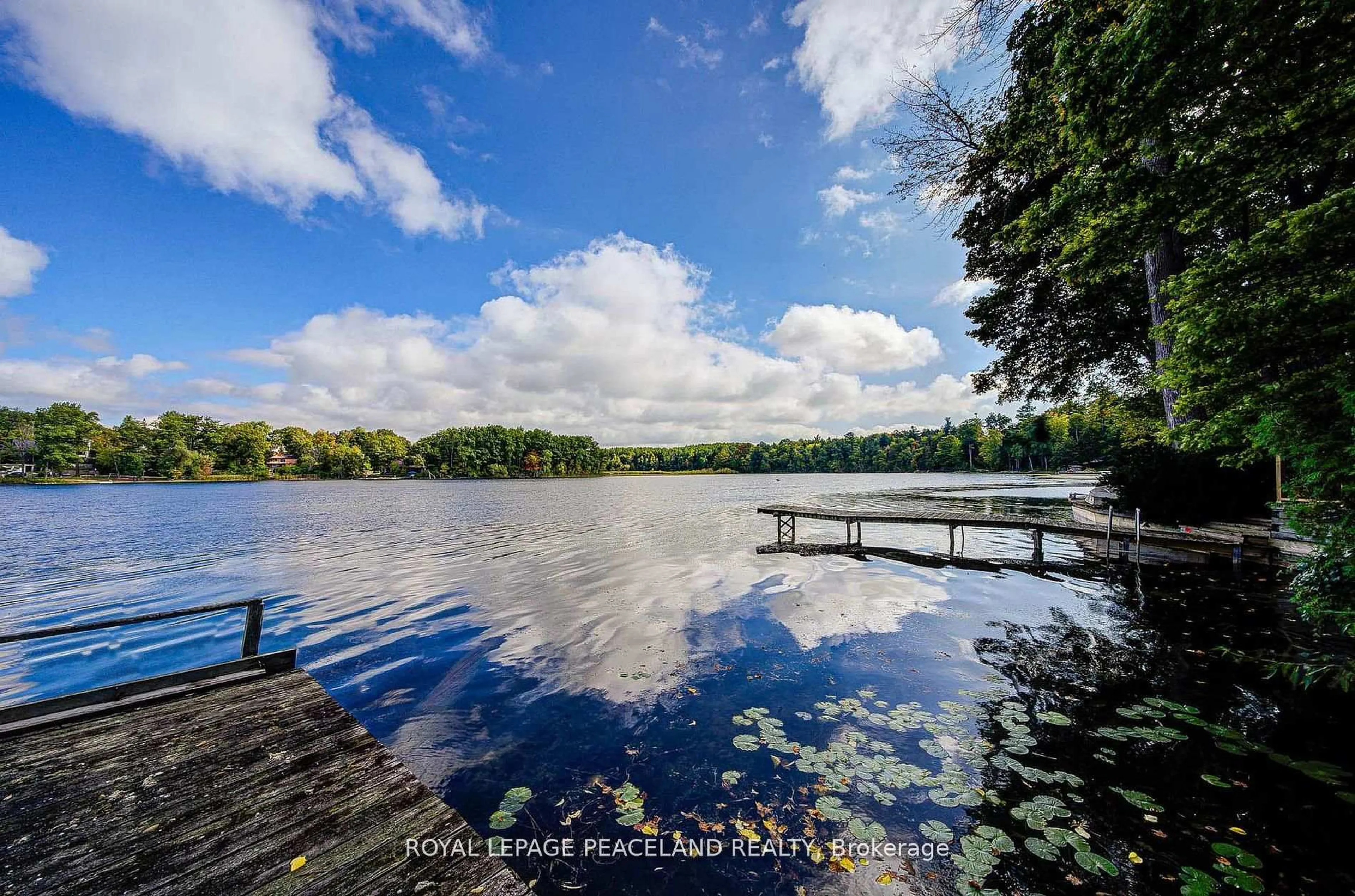 A pic from outside/outdoor area/front of a property/back of a property/a pic from drone, water/lake/river/ocean view for 38 Lakeview Ave, Whitchurch-Stouffville Ontario L4A 2H1