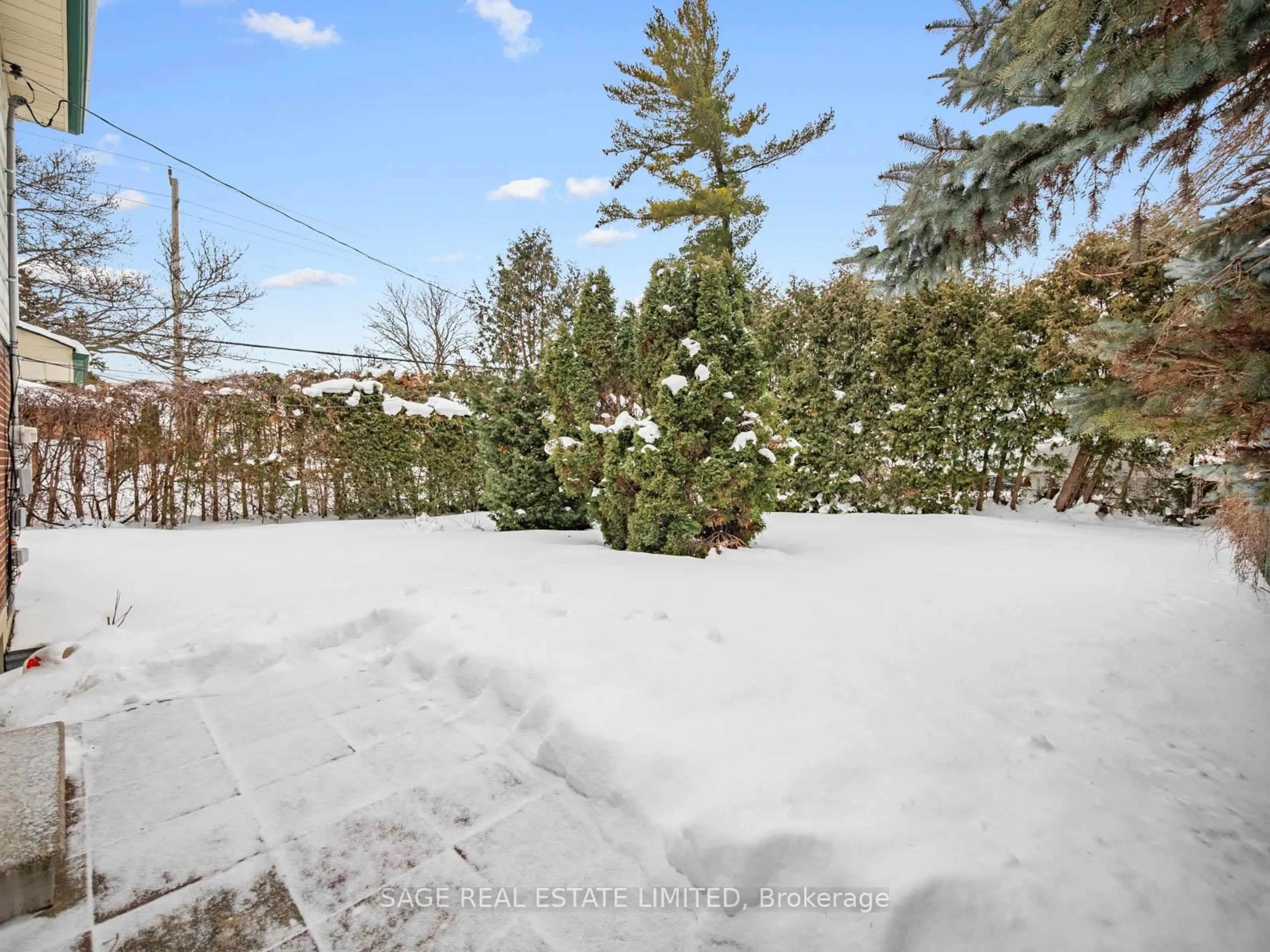 A pic from outside/outdoor area/front of a property/back of a property/a pic from drone, forest/trees view for 2 Johnson St, Markham Ontario L3T 2N7