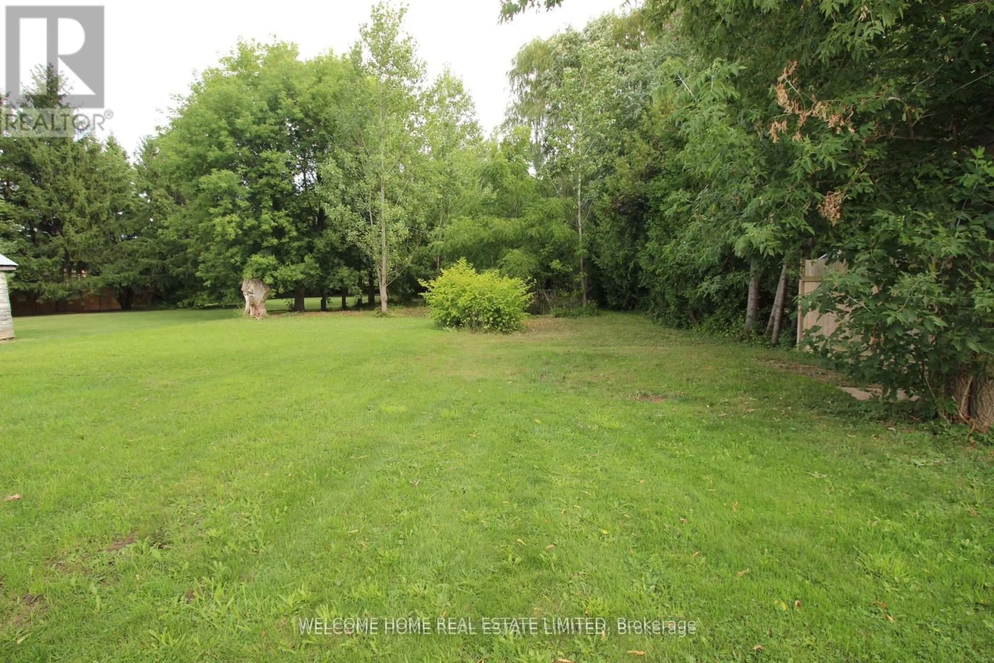 A pic from outside/outdoor area/front of a property/back of a property/a pic from drone, forest/trees view for 145 King St, New Tecumseth Ontario L9R 1N7