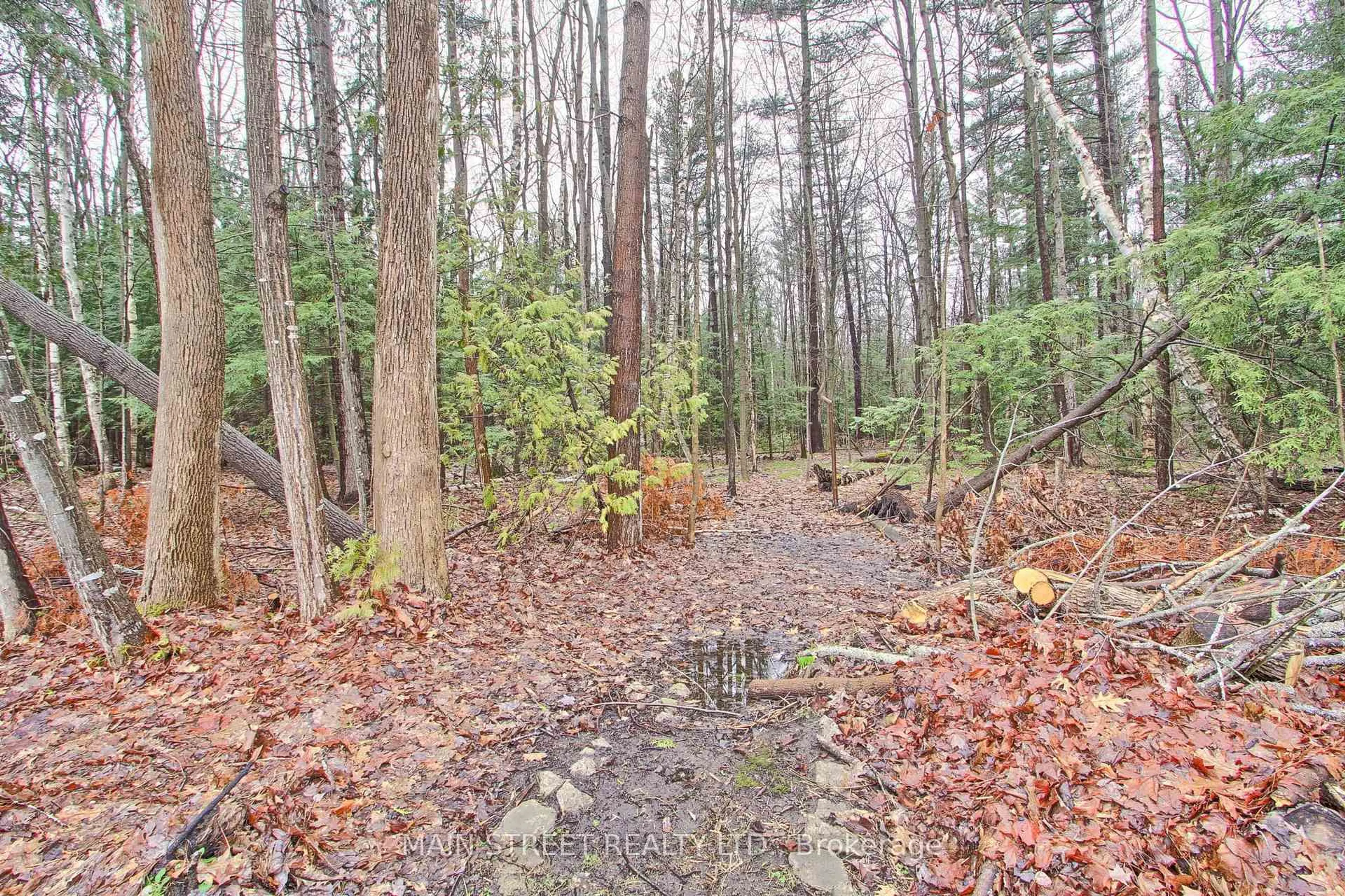 Unknown for 52 Maple Ave, Georgina Ontario L0E 1R0