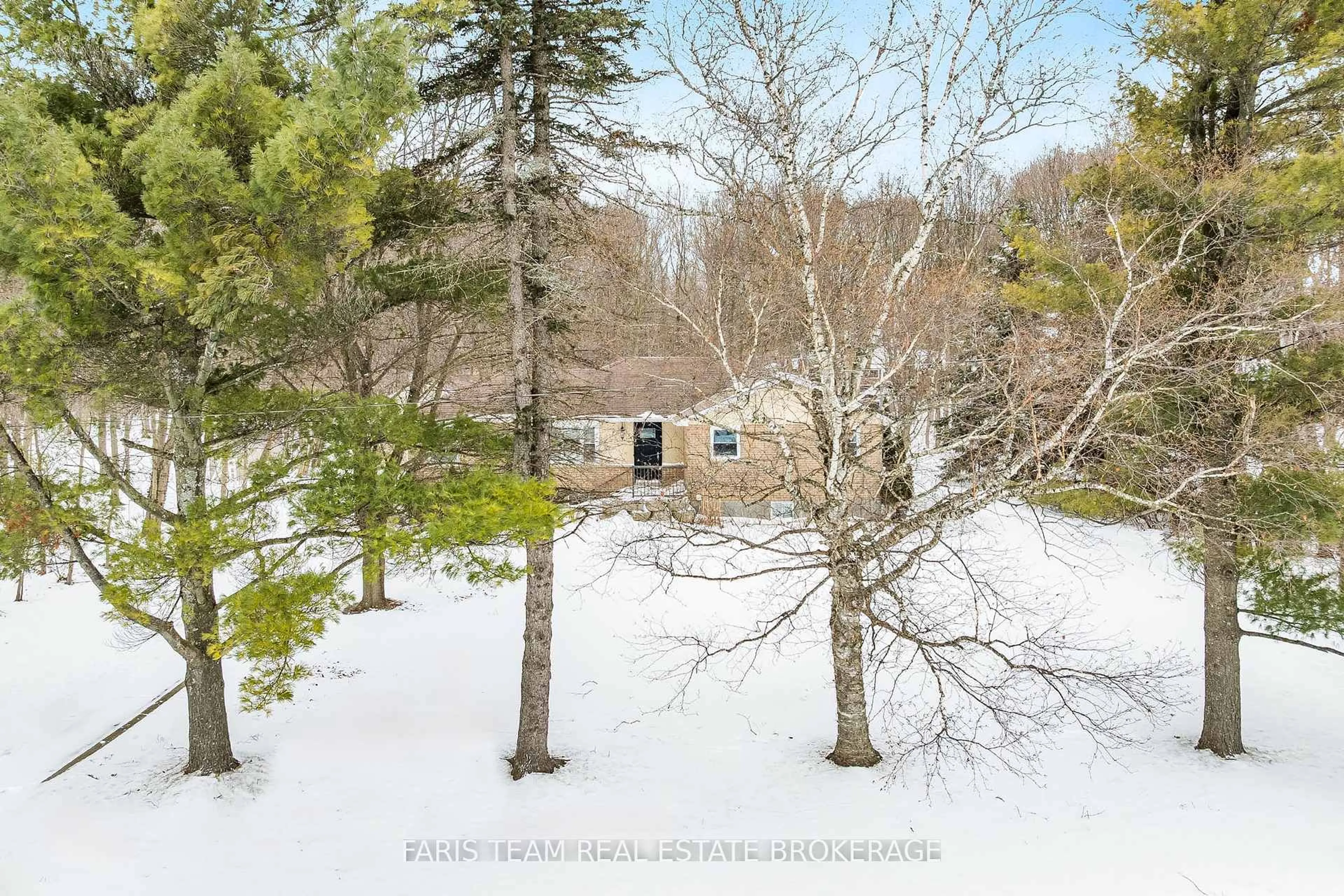 A pic from outside/outdoor area/front of a property/back of a property/a pic from drone, forest/trees view for 7349 County Road 14, Adjala-Tosorontio Ontario L0G 1W0