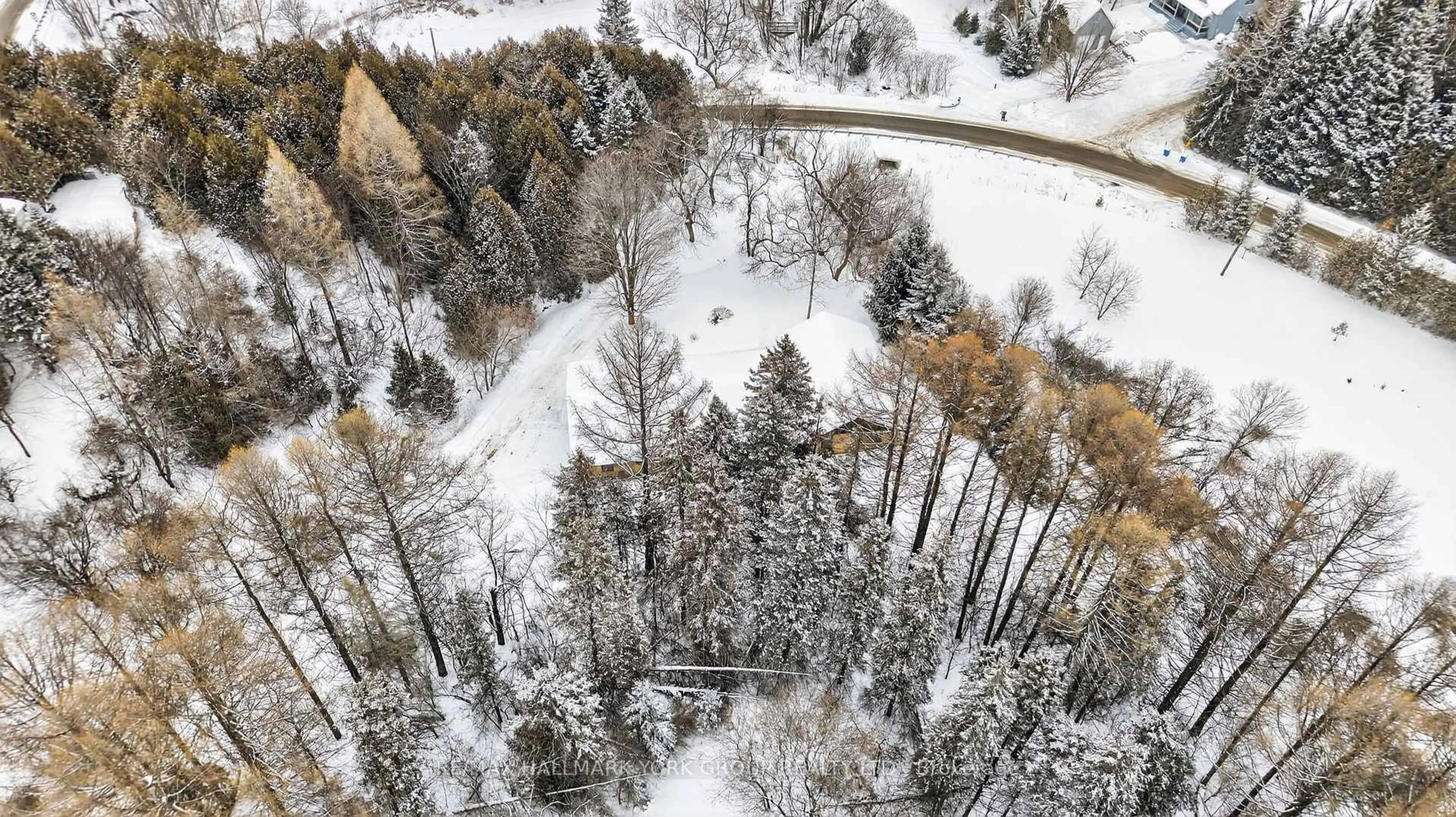 A pic from outside/outdoor area/front of a property/back of a property/a pic from drone, forest/trees view for 570 Kettleby Rd, King Ontario L7B 0C9