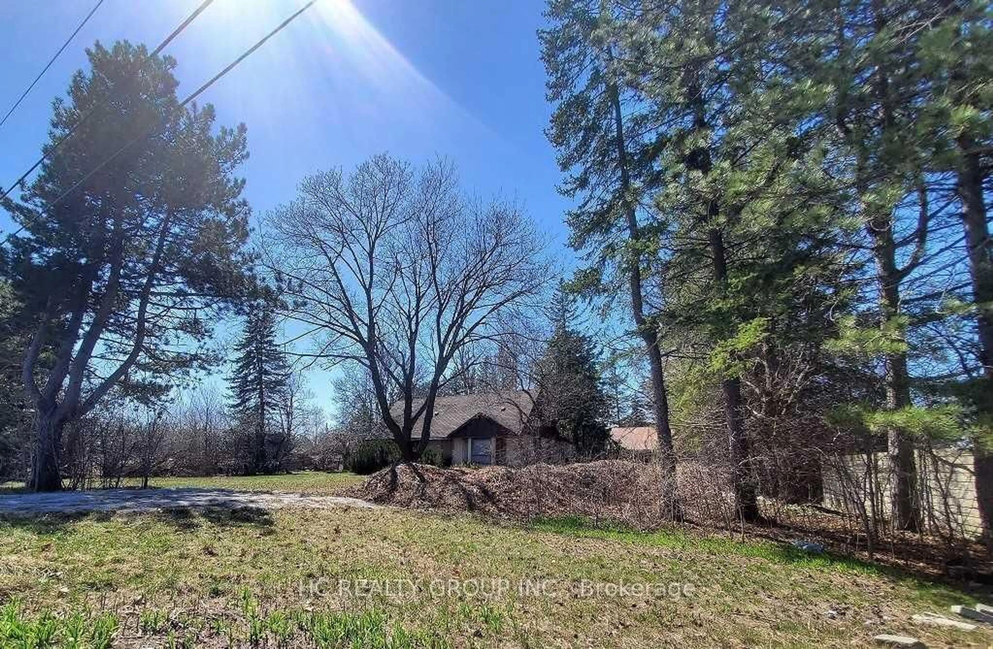 A pic from outside/outdoor area/front of a property/back of a property/a pic from drone, forest/trees view for 11044 Leslie St, Richmond Hill Ontario L4S 1N2