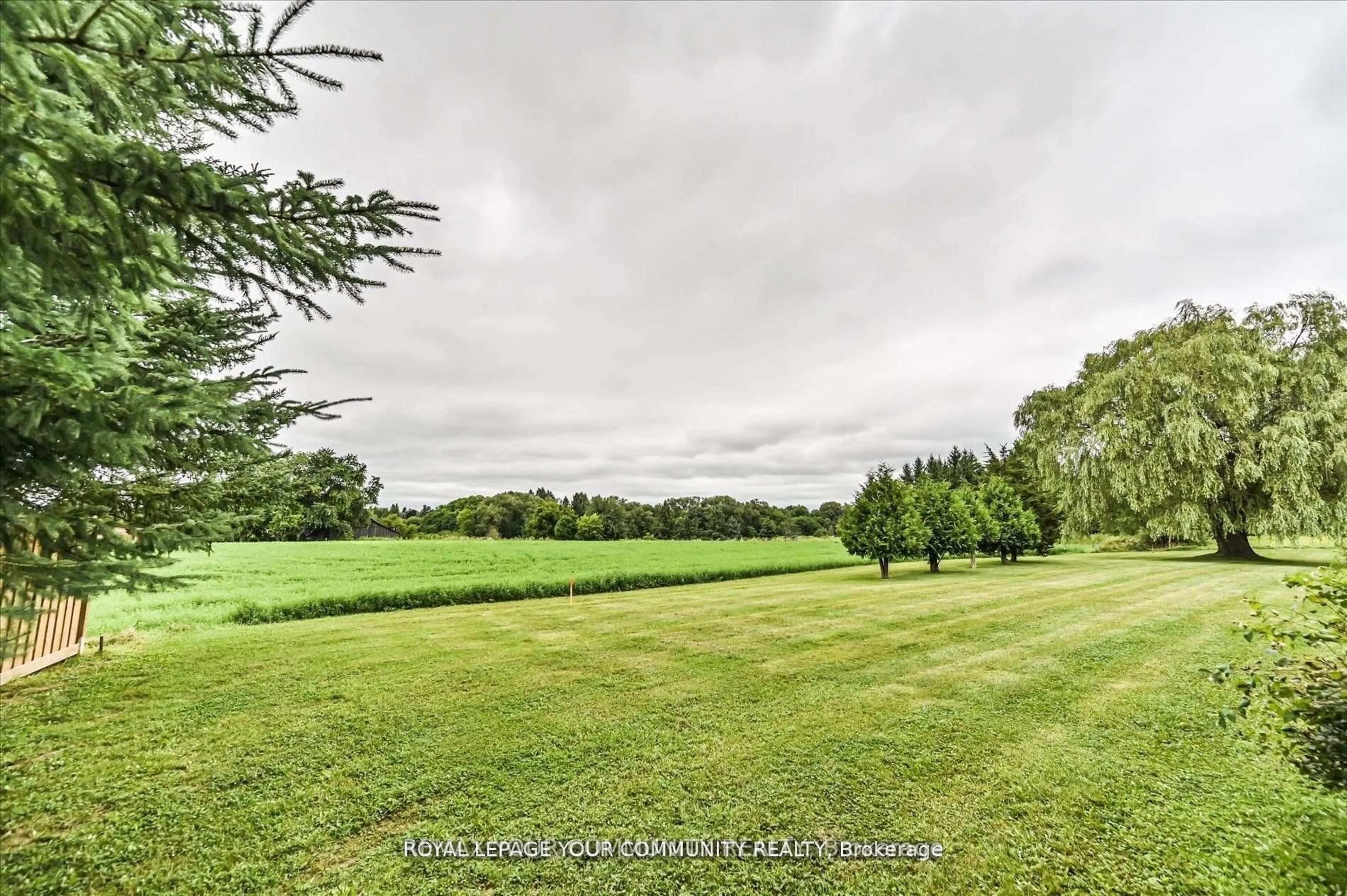 A pic from outside/outdoor area/front of a property/back of a property/a pic from drone, forest/trees view for 6162 Highway 9, King Ontario L0G 1T0