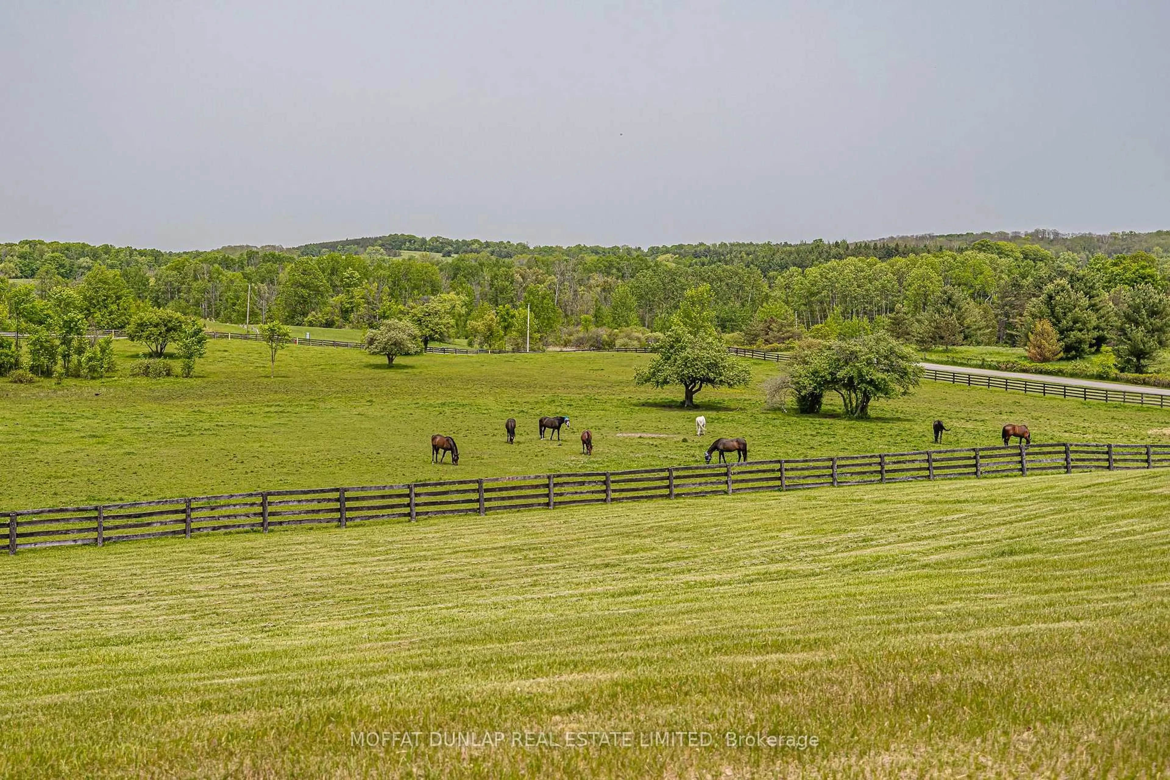 A pic from outside/outdoor area/front of a property/back of a property/a pic from drone, forest/trees view for 2105-2065 19th Sdrd, King Ontario L0G 1K0