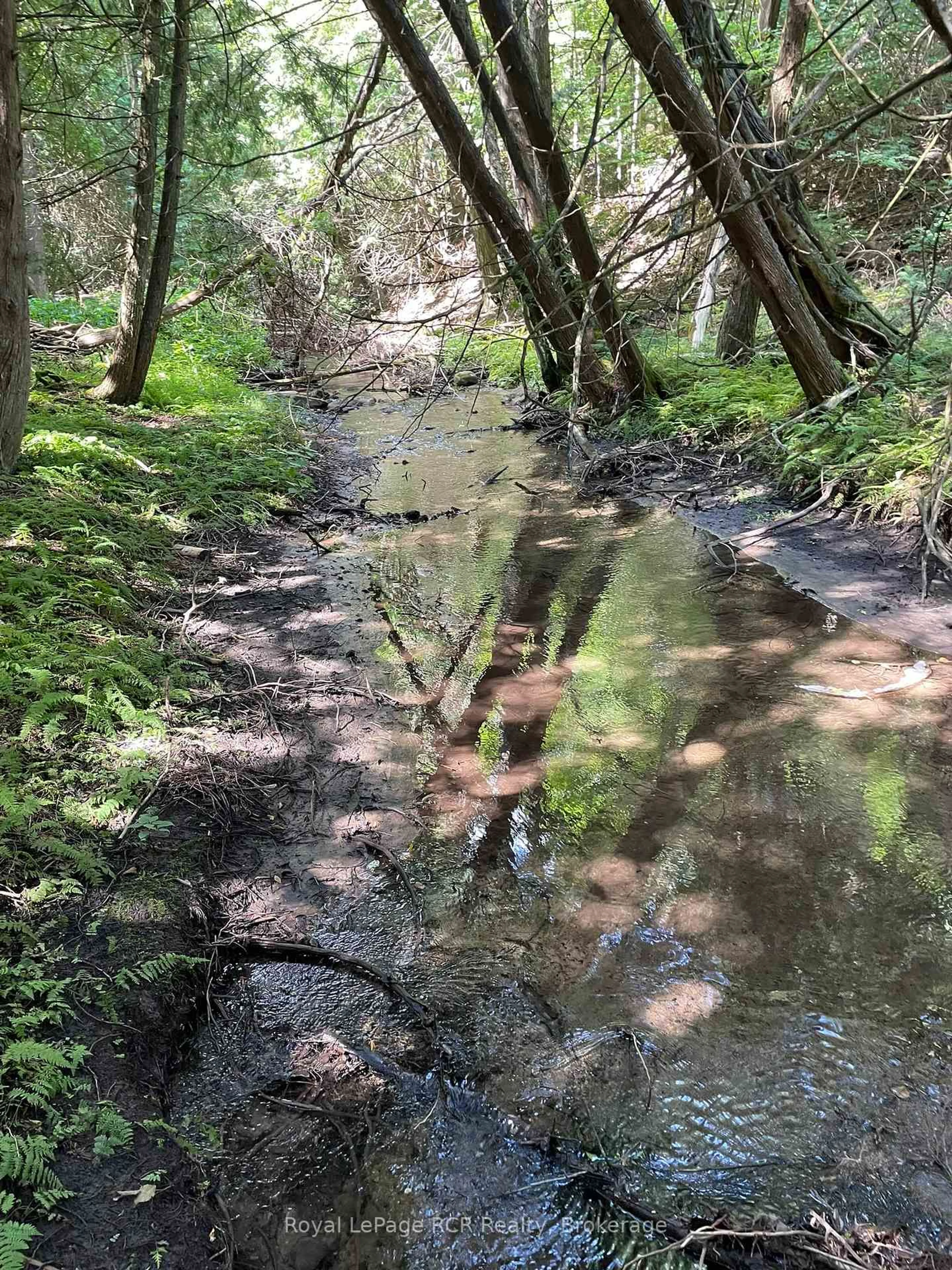 Blurry image for 1922 Concession 4 Rd, Adjala-Tosorontio Ontario L0G 1L0