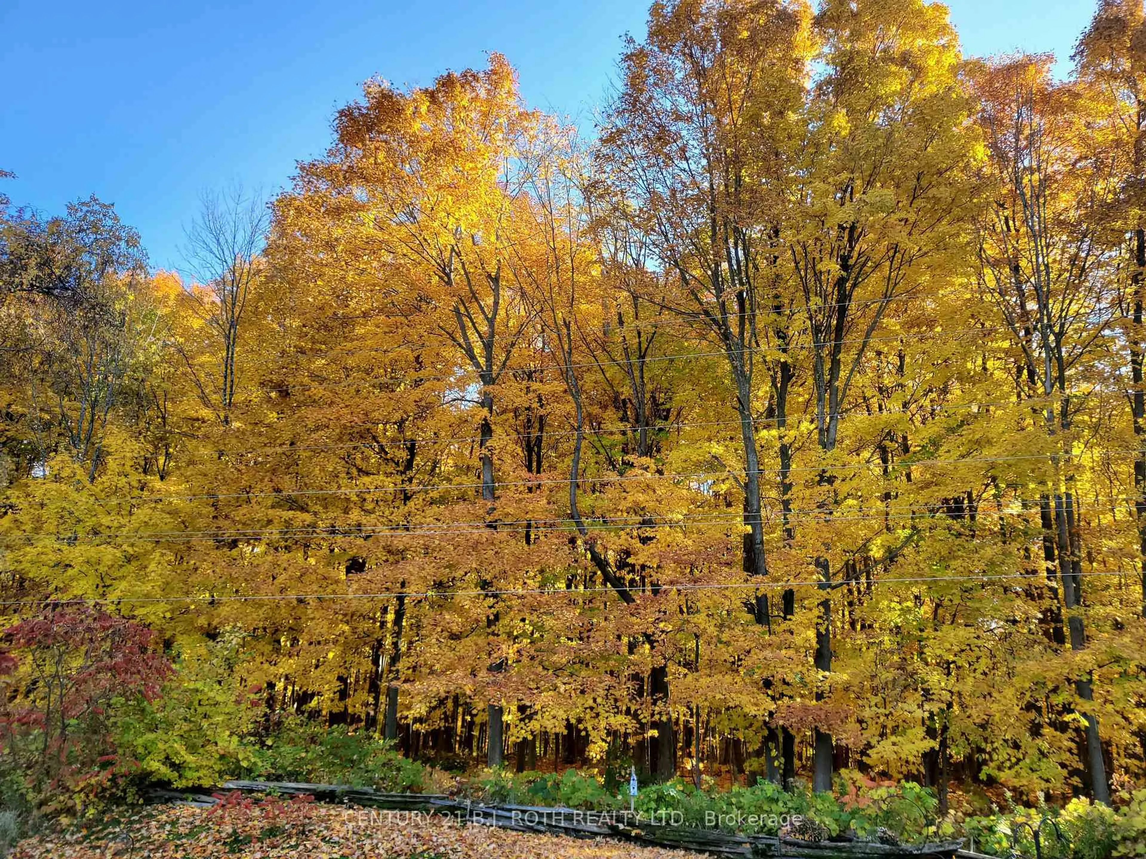 Unknown for 29 Corner Brook Tr, Innisfil Ontario L9S 1P2