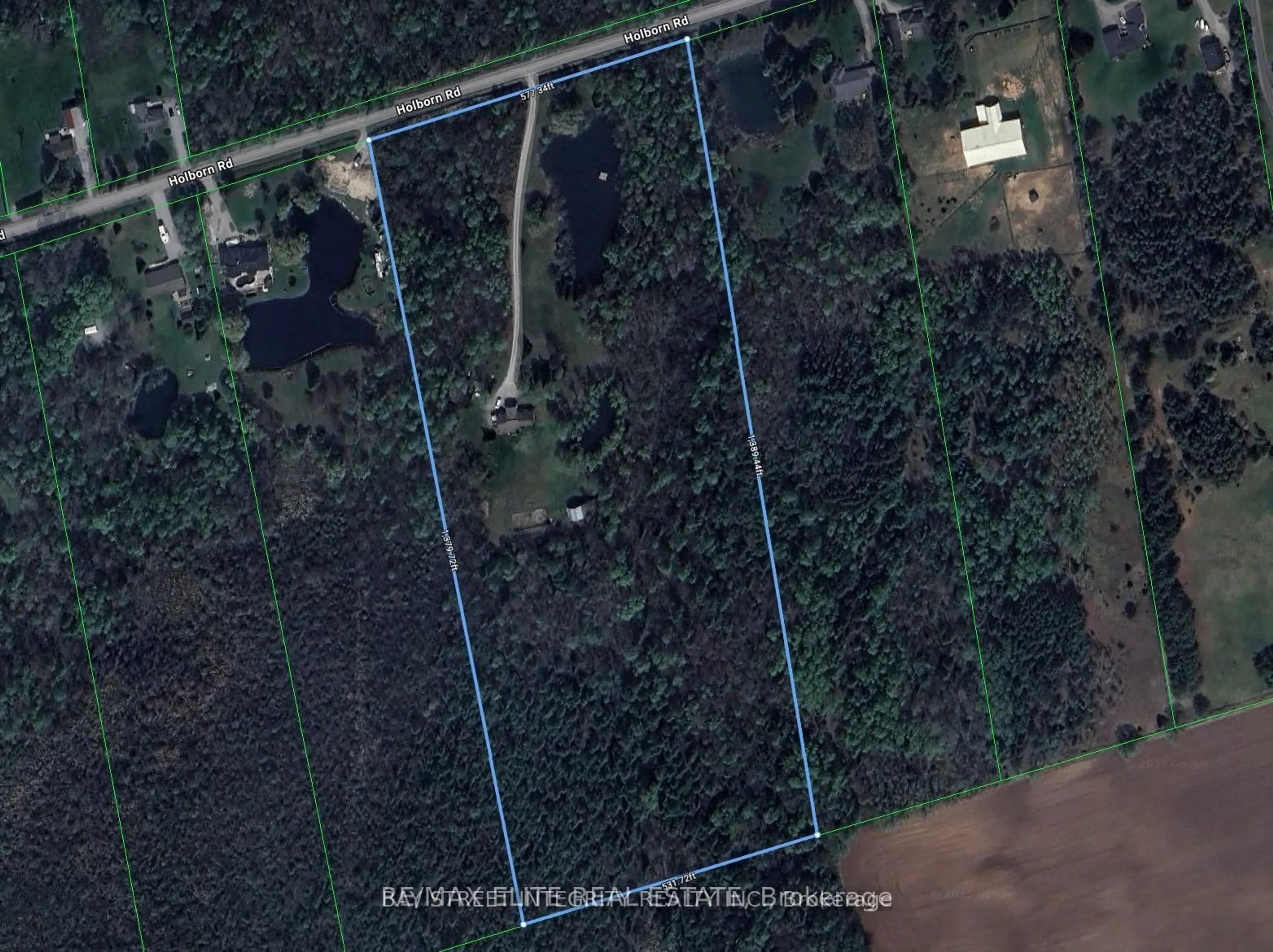 A pic from outside/outdoor area/front of a property/back of a property/a pic from drone, forest/trees view for 4909 Holborn Rd, East Gwillimbury Ontario L0G 1M0