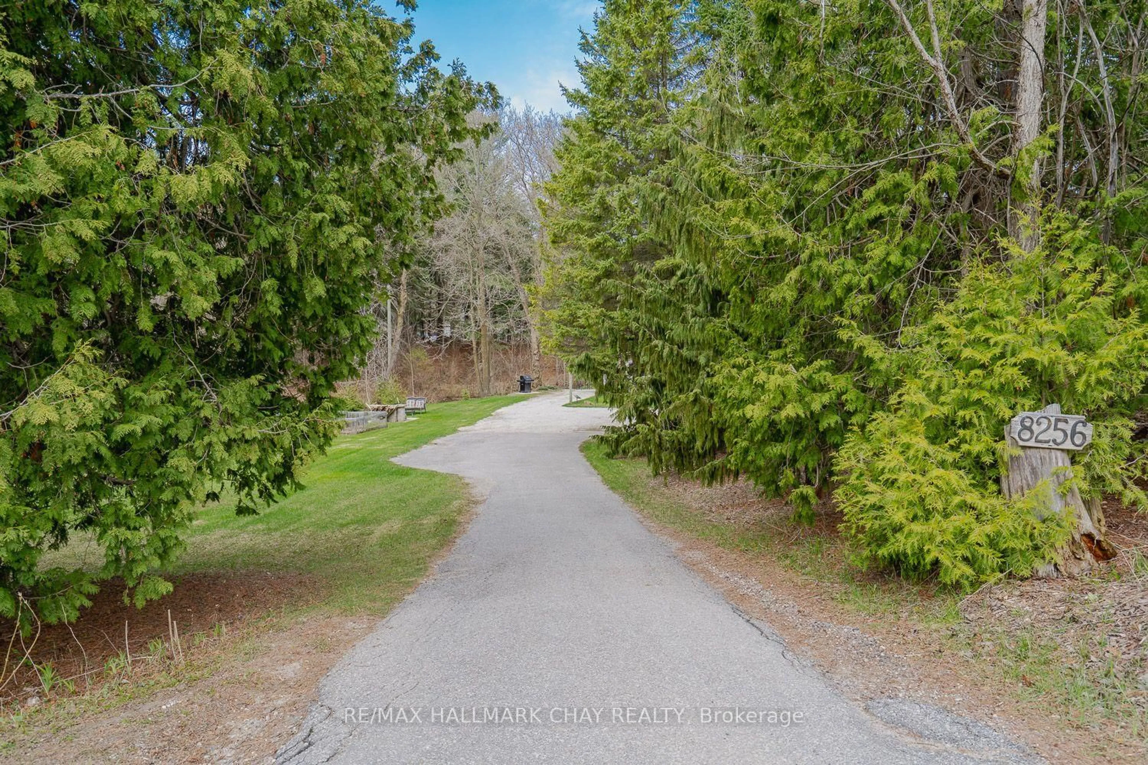 A pic from outside/outdoor area/front of a property/back of a property/a pic from drone, forest/trees view for 8256 Main St, Adjala-Tosorontio Ontario L0M 1M0