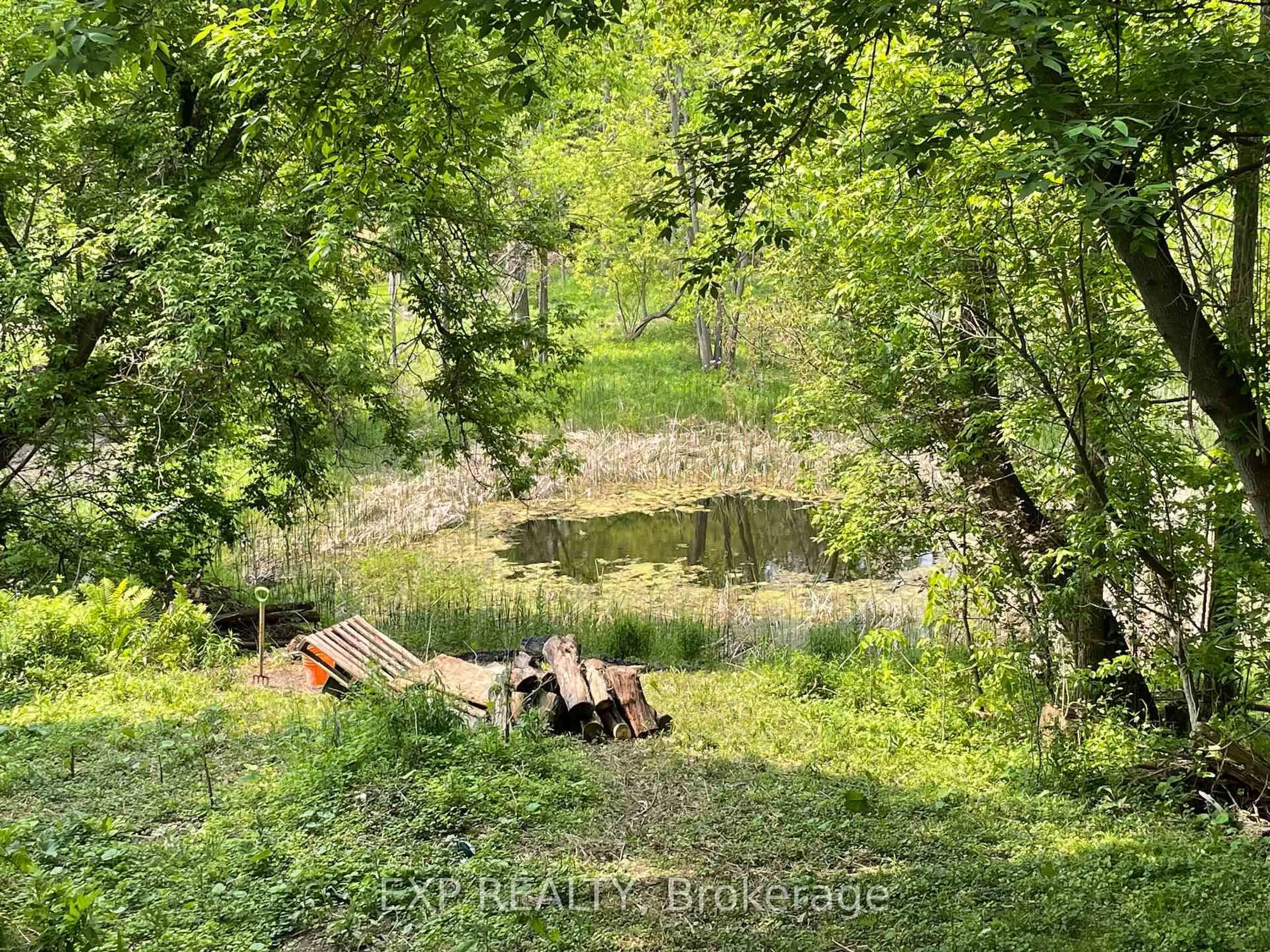 A pic from outside/outdoor area/front of a property/back of a property/a pic from drone, forest/trees view for 9254 County 1, Adjala-Tosorontio Ontario L0N 1P0
