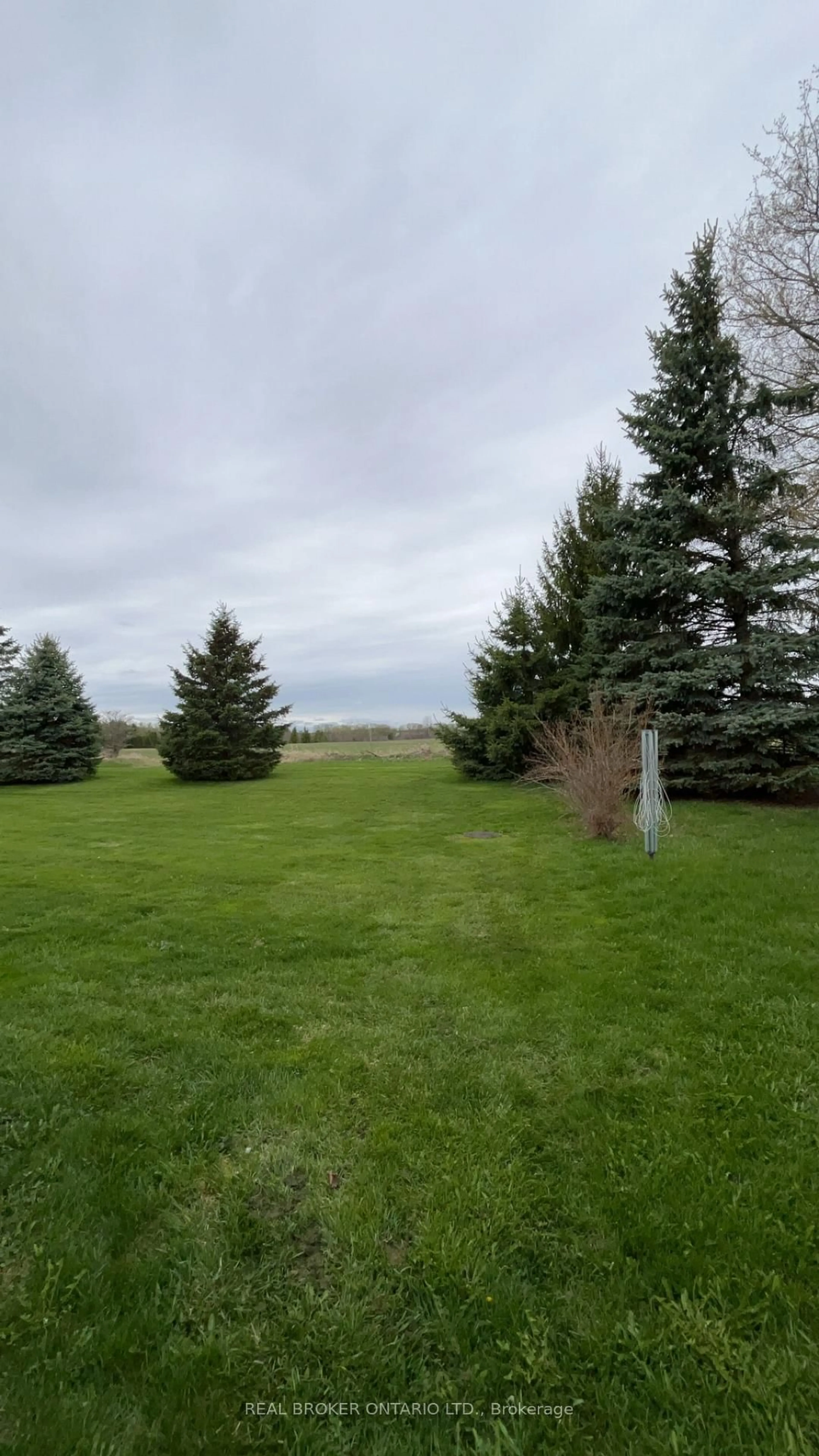 A pic from outside/outdoor area/front of a property/back of a property/a pic from drone, forest/trees view for 8 Maple Leaf Terr, Innisfil Ontario L0L 1L0