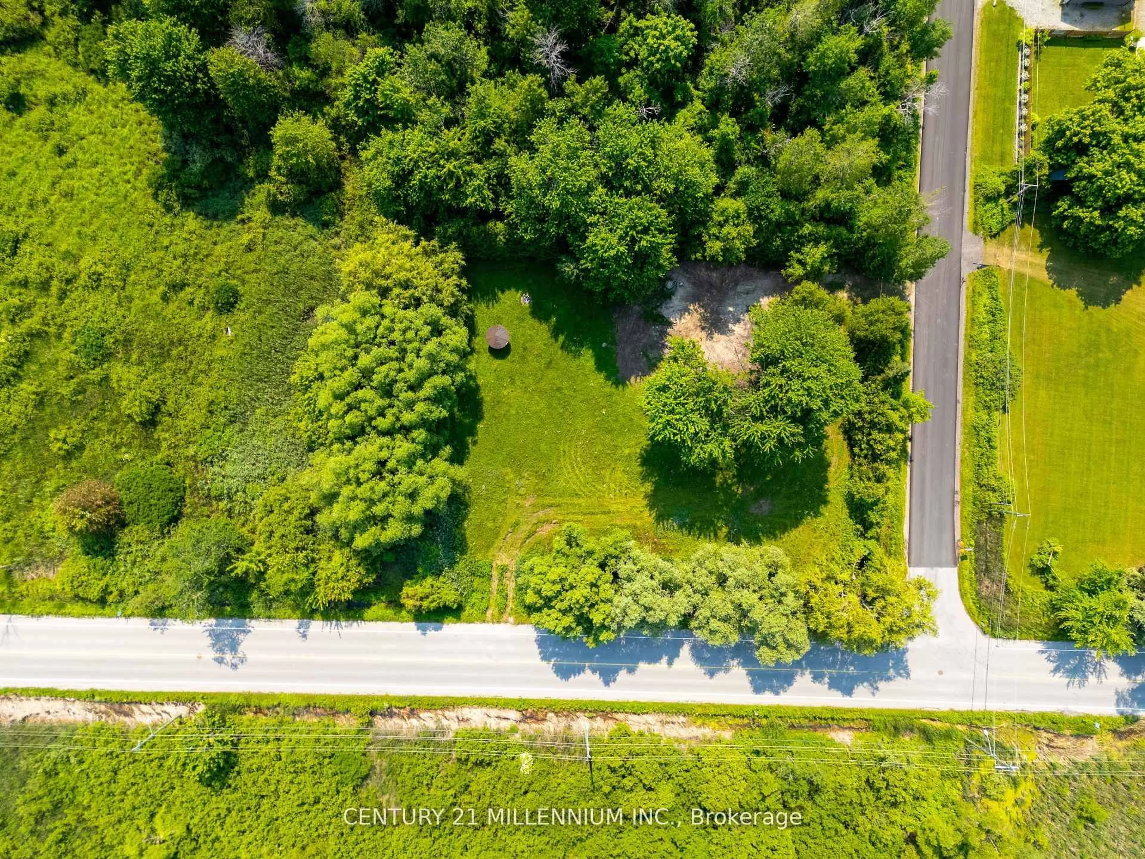 A pic from outside/outdoor area/front of a property/back of a property/a pic from drone, forest/trees view for 1027 Chapman St, Innisfil Ontario L0L 1W0