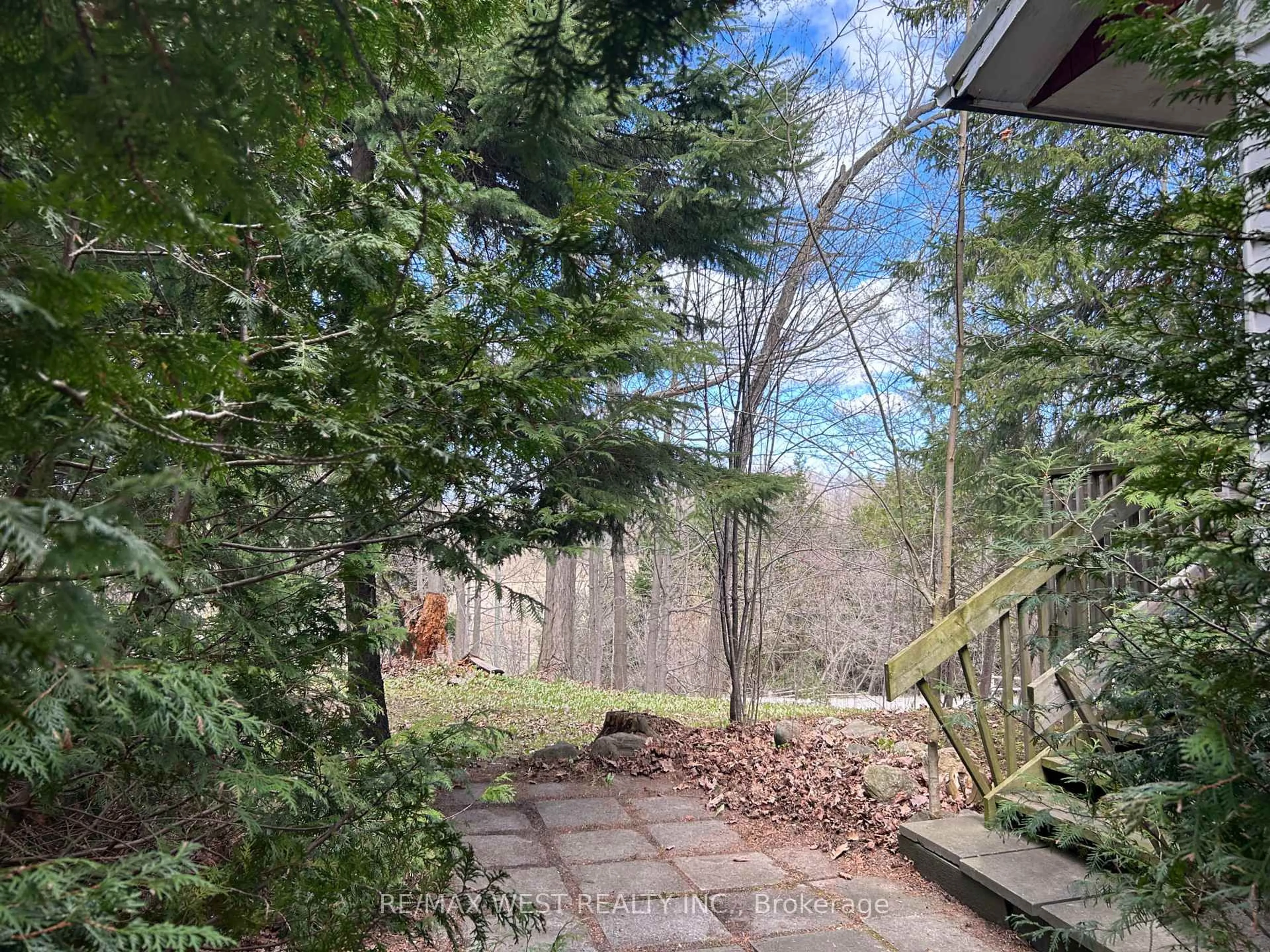 A pic from outside/outdoor area/front of a property/back of a property/a pic from drone, forest/trees view for 55 Elmpine Tr, King Ontario L7B 1K4