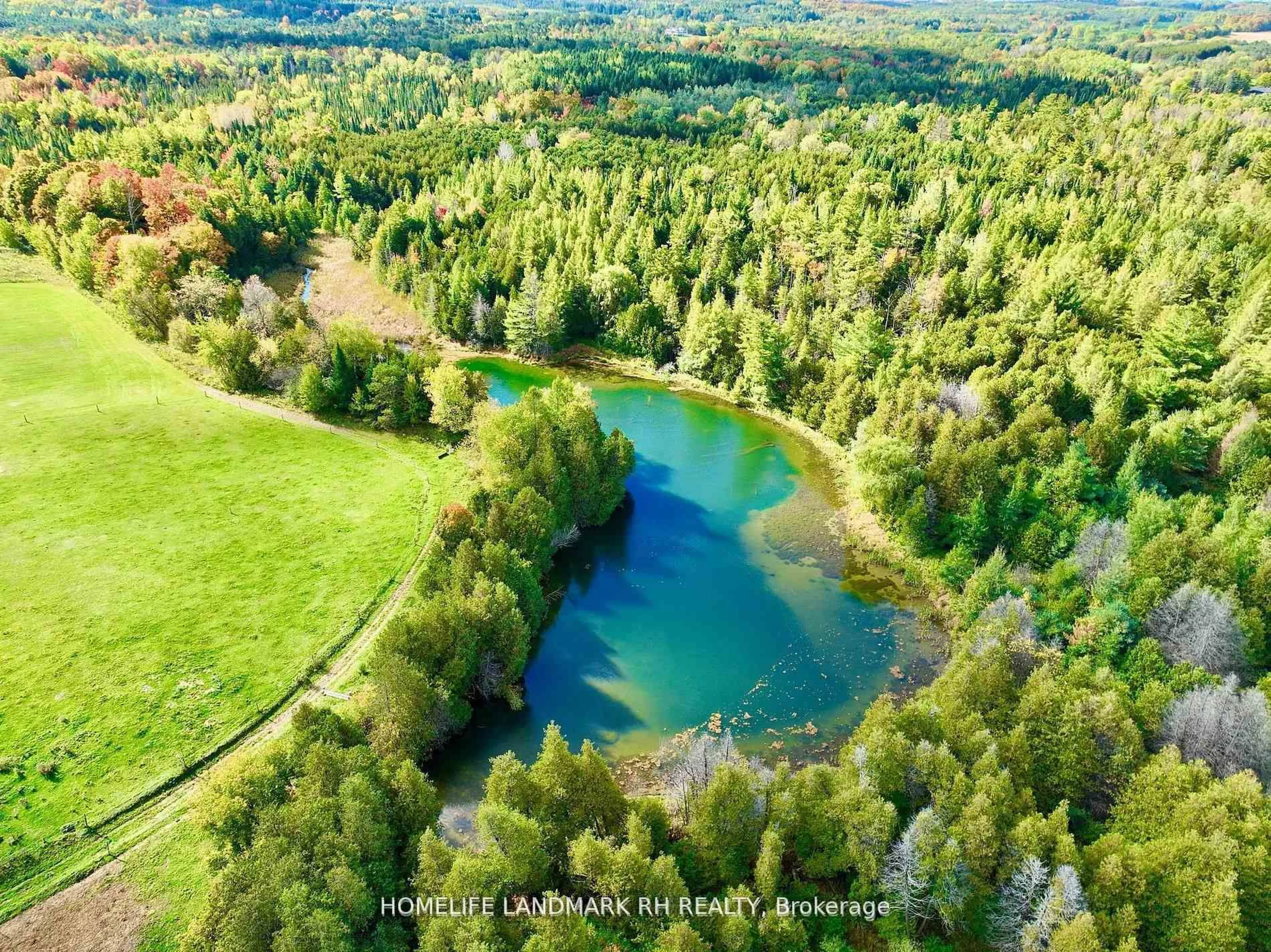 A pic from outside/outdoor area/front of a property/back of a property/a pic from drone, water/lake/river/ocean view for 5031 Herald Rd, East Gwillimbury Ontario L0G 1M0