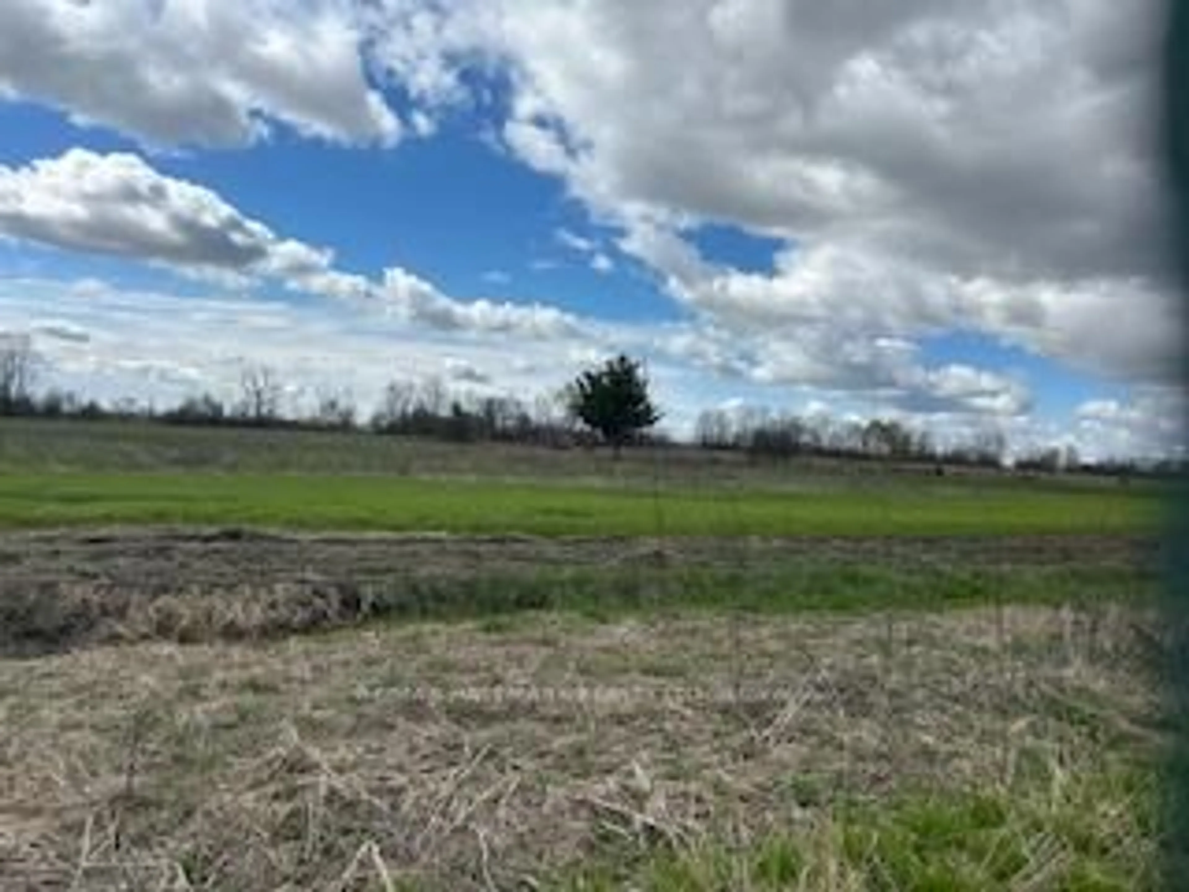 A pic from outside/outdoor area/front of a property/back of a property/a pic from drone, forest/trees view for 3569 Bethesda Rd, Whitchurch-Stouffville Ontario L4A 7X5