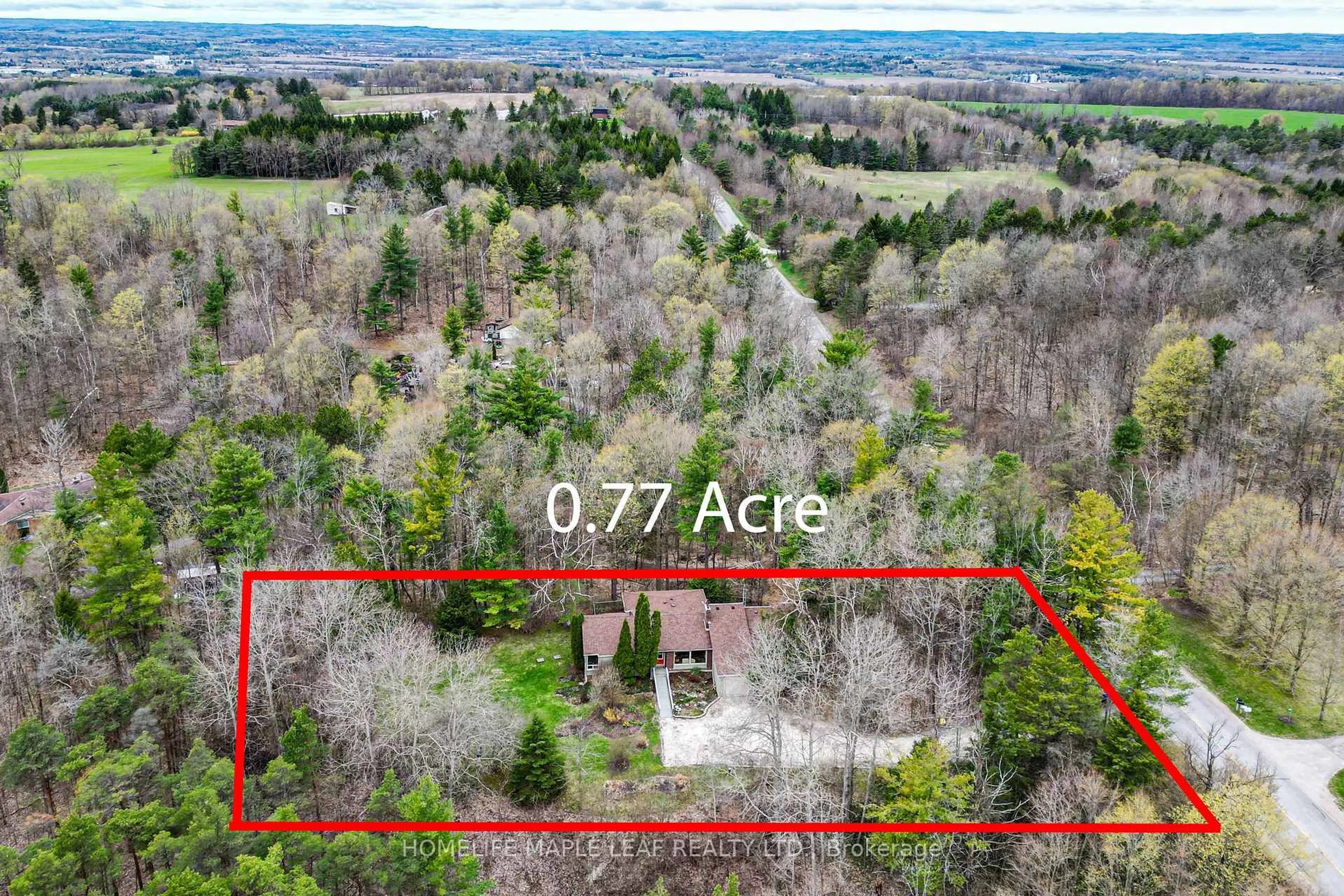 A pic from outside/outdoor area/front of a property/back of a property/a pic from drone, forest/trees view for 5935 6th Line, New Tecumseth Ontario L0G 1W0
