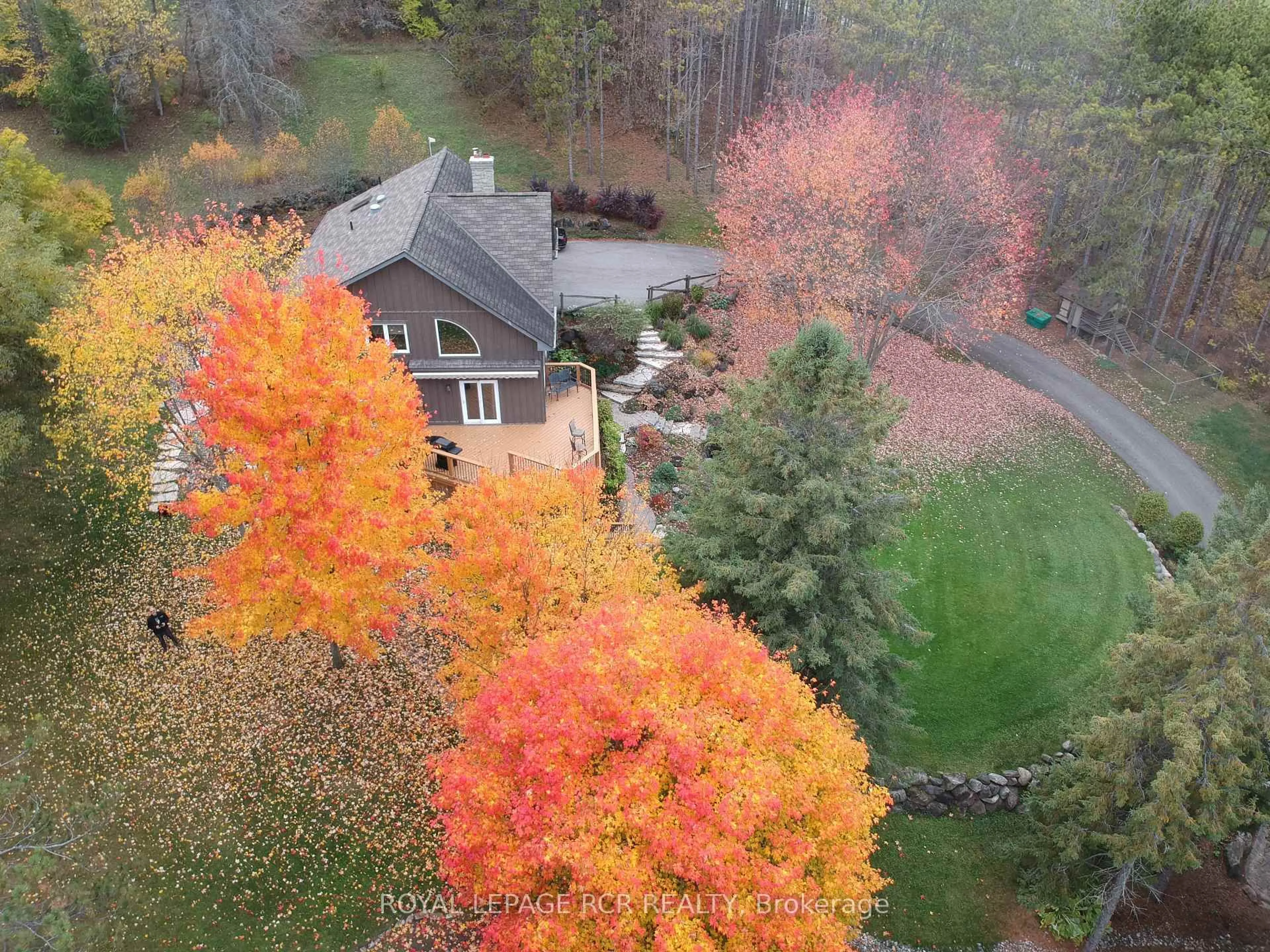 A pic from outside/outdoor area/front of a property/back of a property/a pic from drone, forest/trees view for 2238 Conc Rd 2 Rd, Adjala-Tosorontio Ontario L0N 1P0