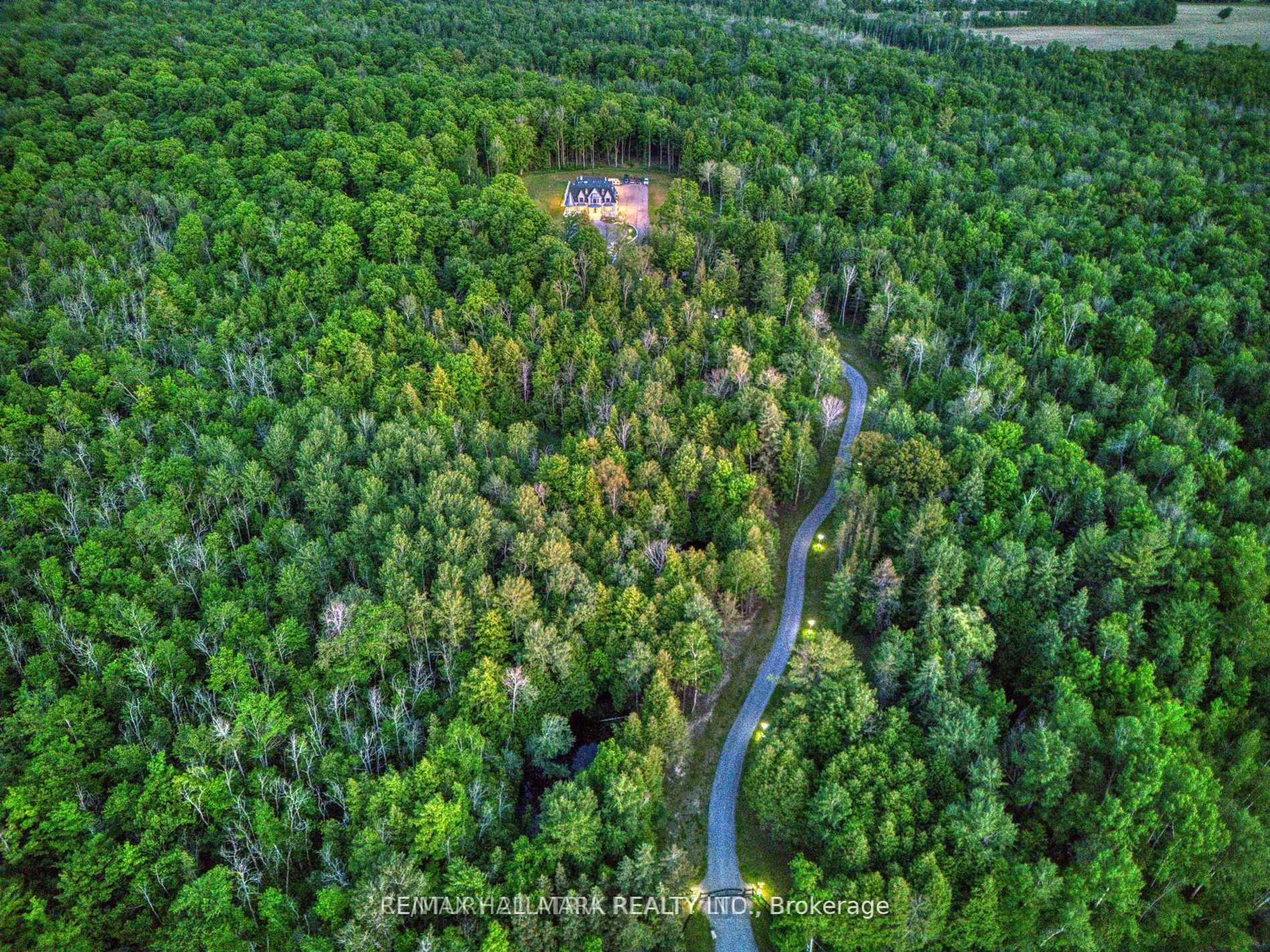 A pic from outside/outdoor area/front of a property/back of a property/a pic from drone, forest/trees view for 3225 Davis Dr, Whitchurch-Stouffville Ontario L4A 2P8