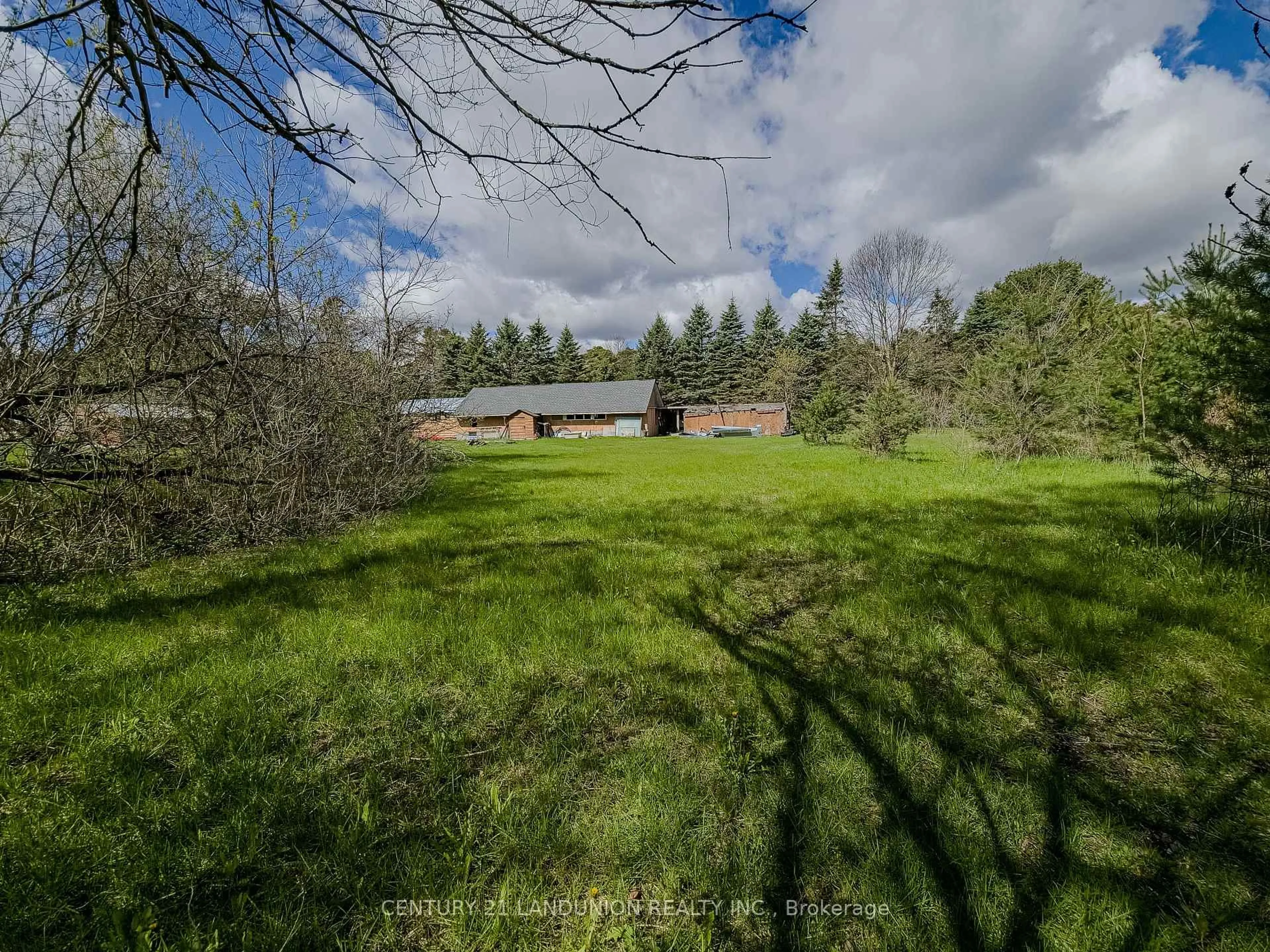 A pic from outside/outdoor area/front of a property/back of a property/a pic from drone, forest/trees view for 4192 Vivian Rd, Whitchurch-Stouffville Ontario L0G 1E0
