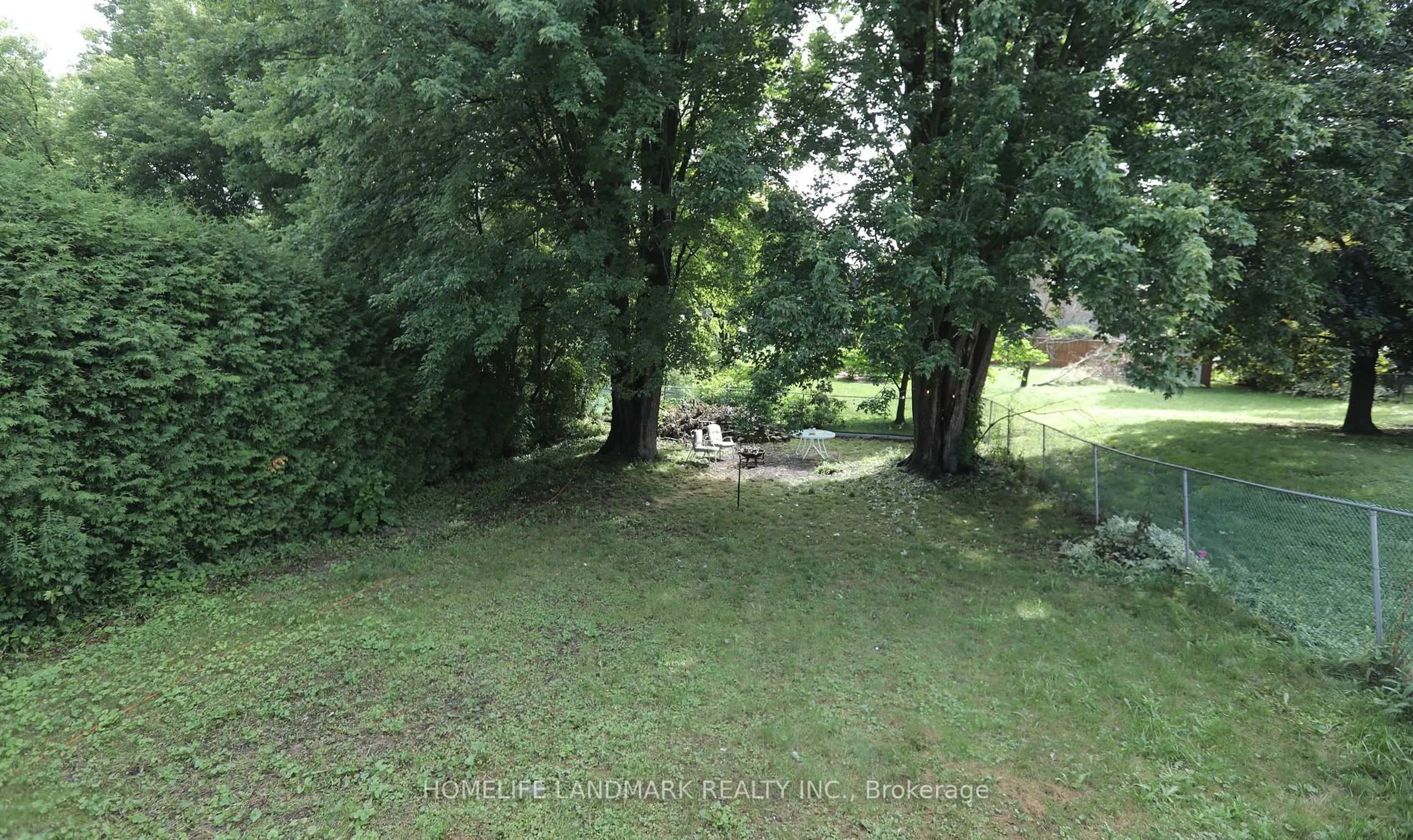 A pic from outside/outdoor area/front of a property/back of a property/a pic from drone, forest/trees view for 181 Newton St, Newmarket Ontario L3Y 3K6