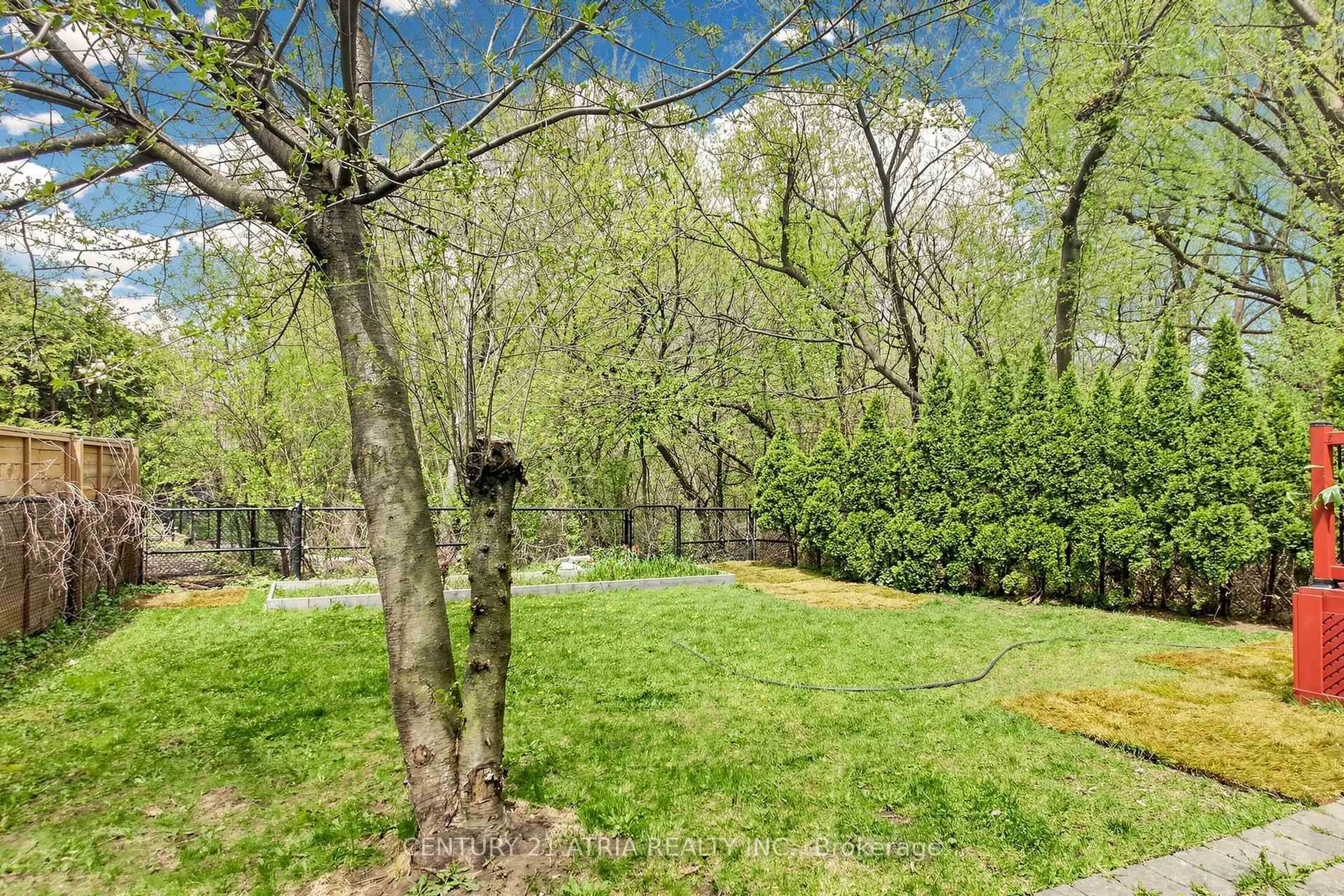 Patio, forest/trees view for 118 May Ave, Richmond Hill Ontario L4C 3S6