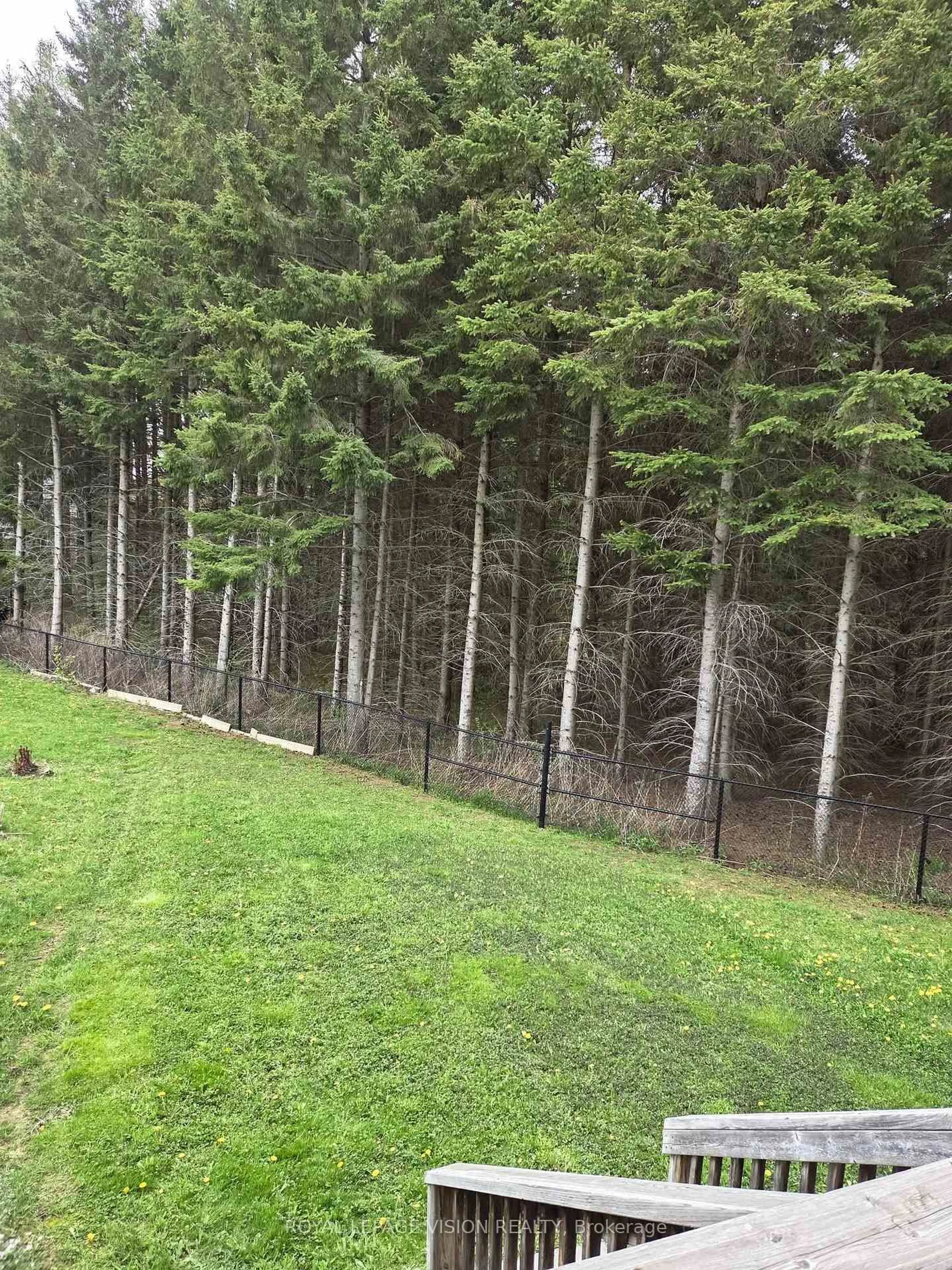 A pic from outside/outdoor area/front of a property/back of a property/a pic from drone, forest/trees view for 360 William Graham Dr, Aurora Ontario L4G 0Z9