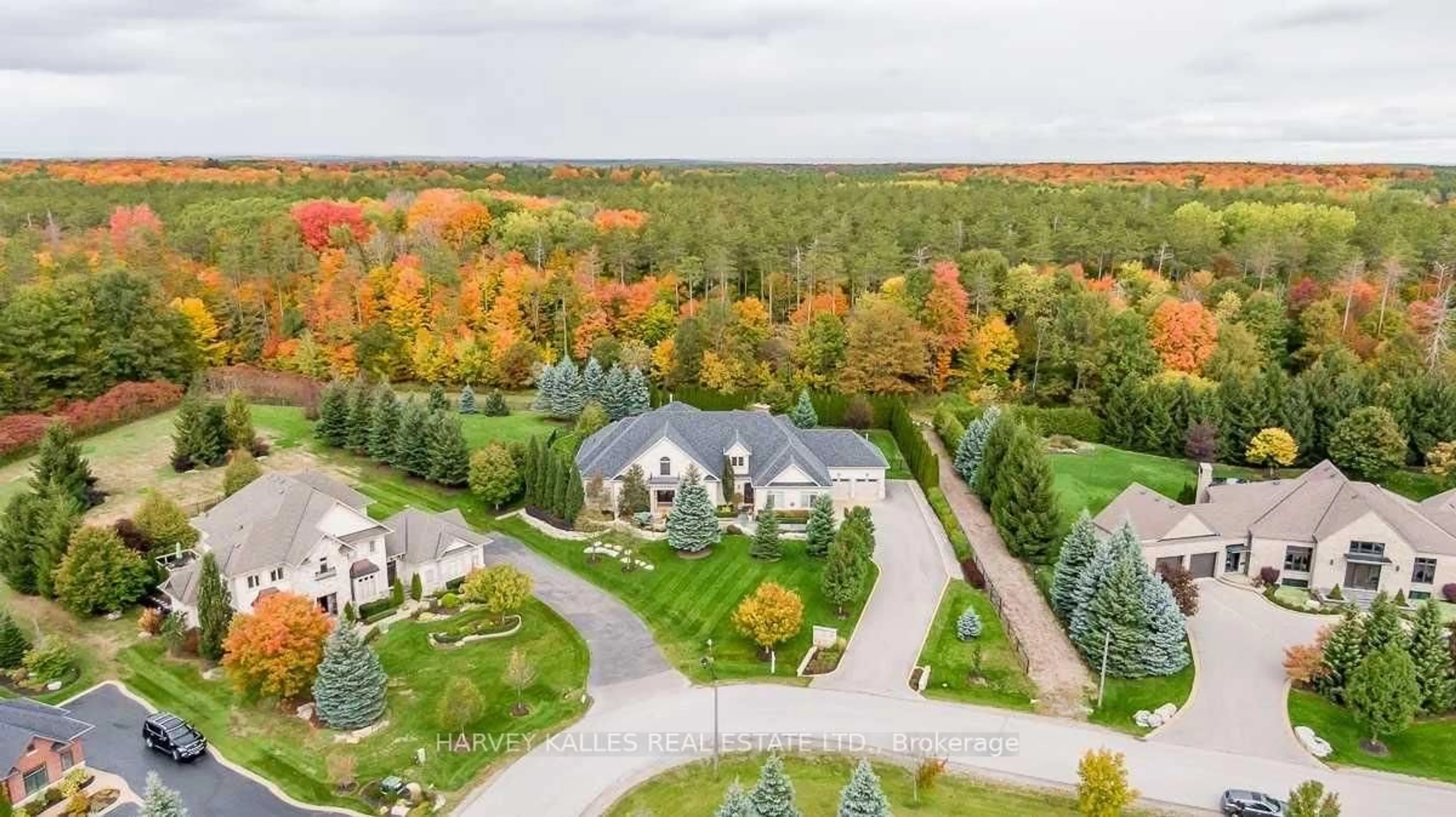 A pic from outside/outdoor area/front of a property/back of a property/a pic from drone, forest/trees view for 44 Grayfield Dr, Whitchurch-Stouffville Ontario L4A 0B1