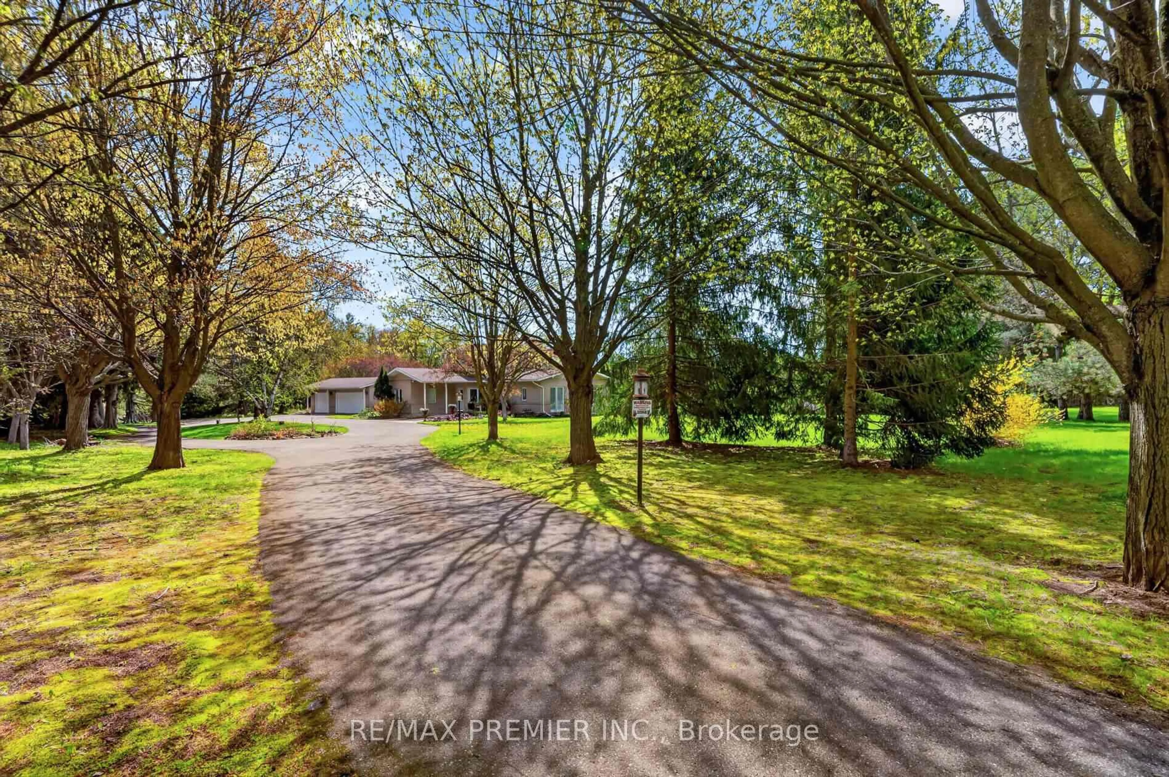 A pic from outside/outdoor area/front of a property/back of a property/a pic from drone, forest/trees view for 41 Green Valley Crt, Vaughan Ontario L0J 1C0