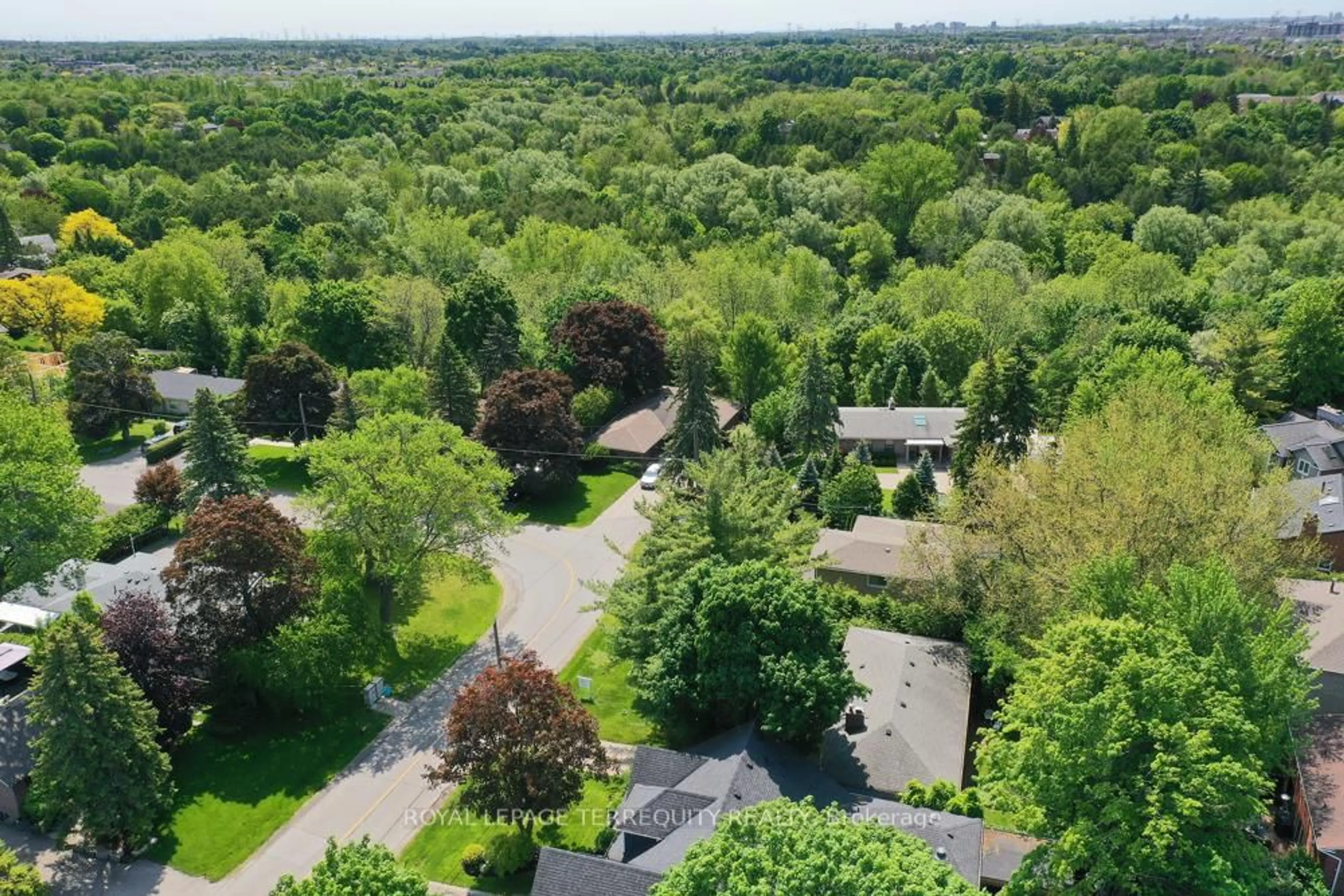 A pic from outside/outdoor area/front of a property/back of a property/a pic from drone, forest/trees view for 20 Paradise Ave, Markham Ontario L3P 3B9