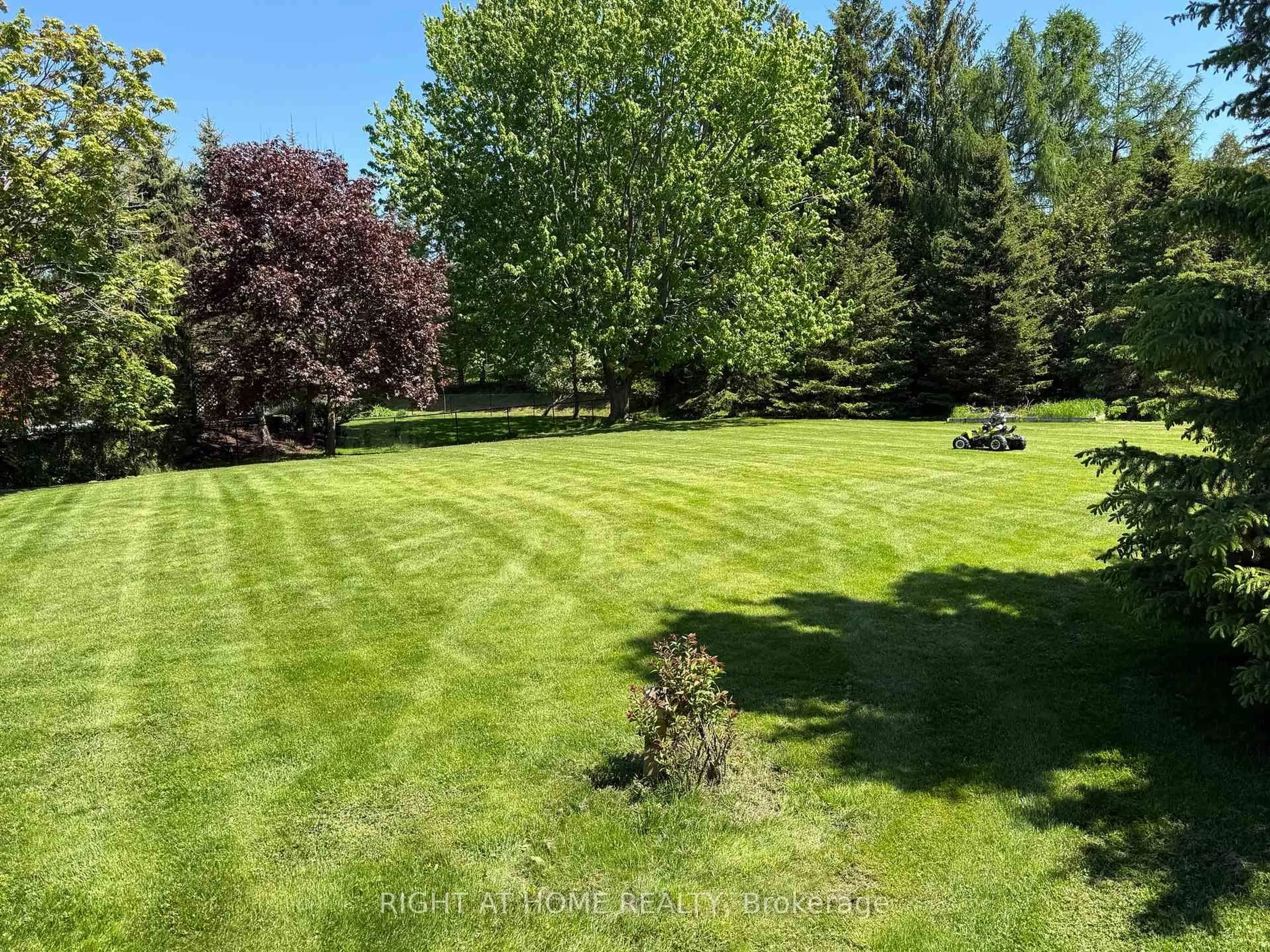 A pic from outside/outdoor area/front of a property/back of a property/a pic from drone, forest/trees view for 9 Lady Diana Crt, Whitchurch-Stouffville Ontario L4A 2C9