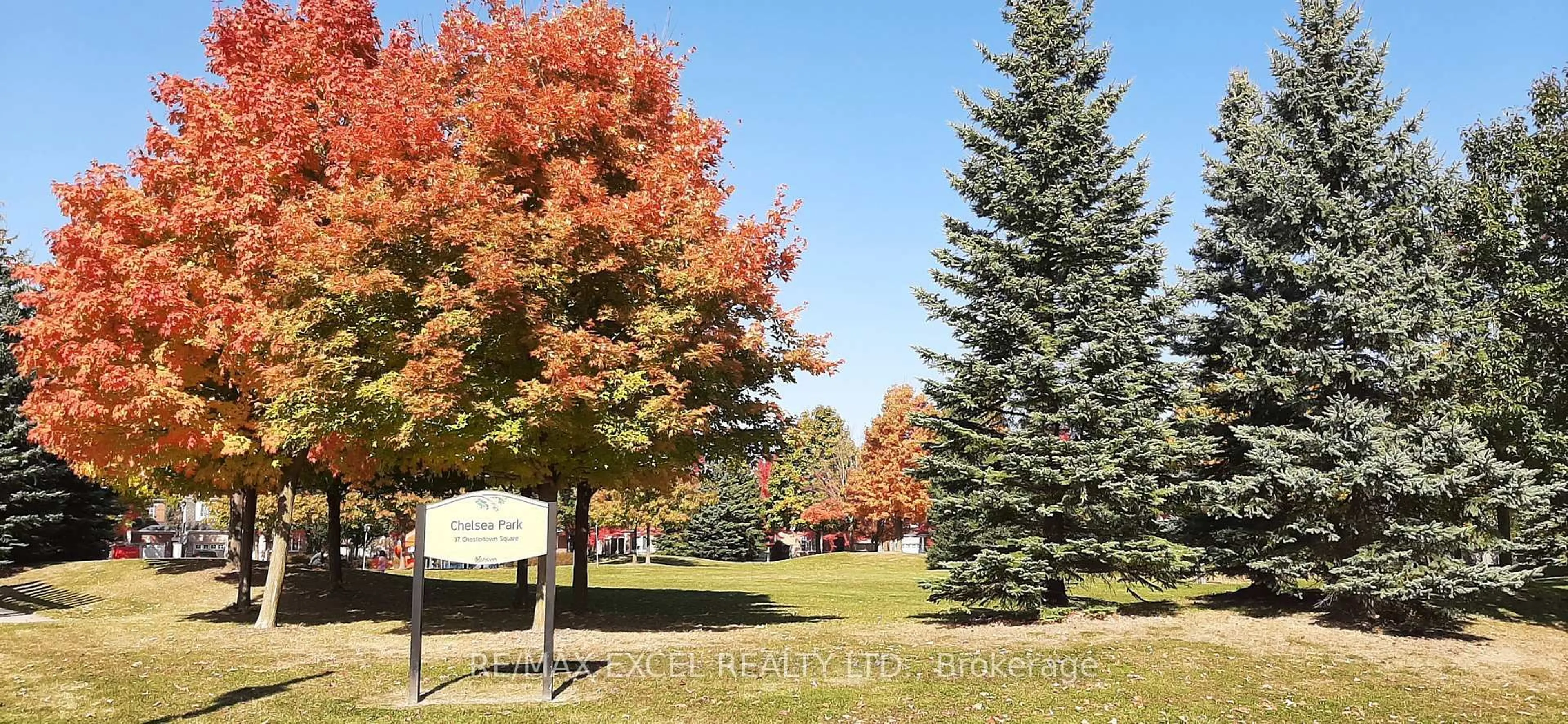 Patio, forest/trees view for 68 Chestertown Sq, Markham Ontario L6C 2R4