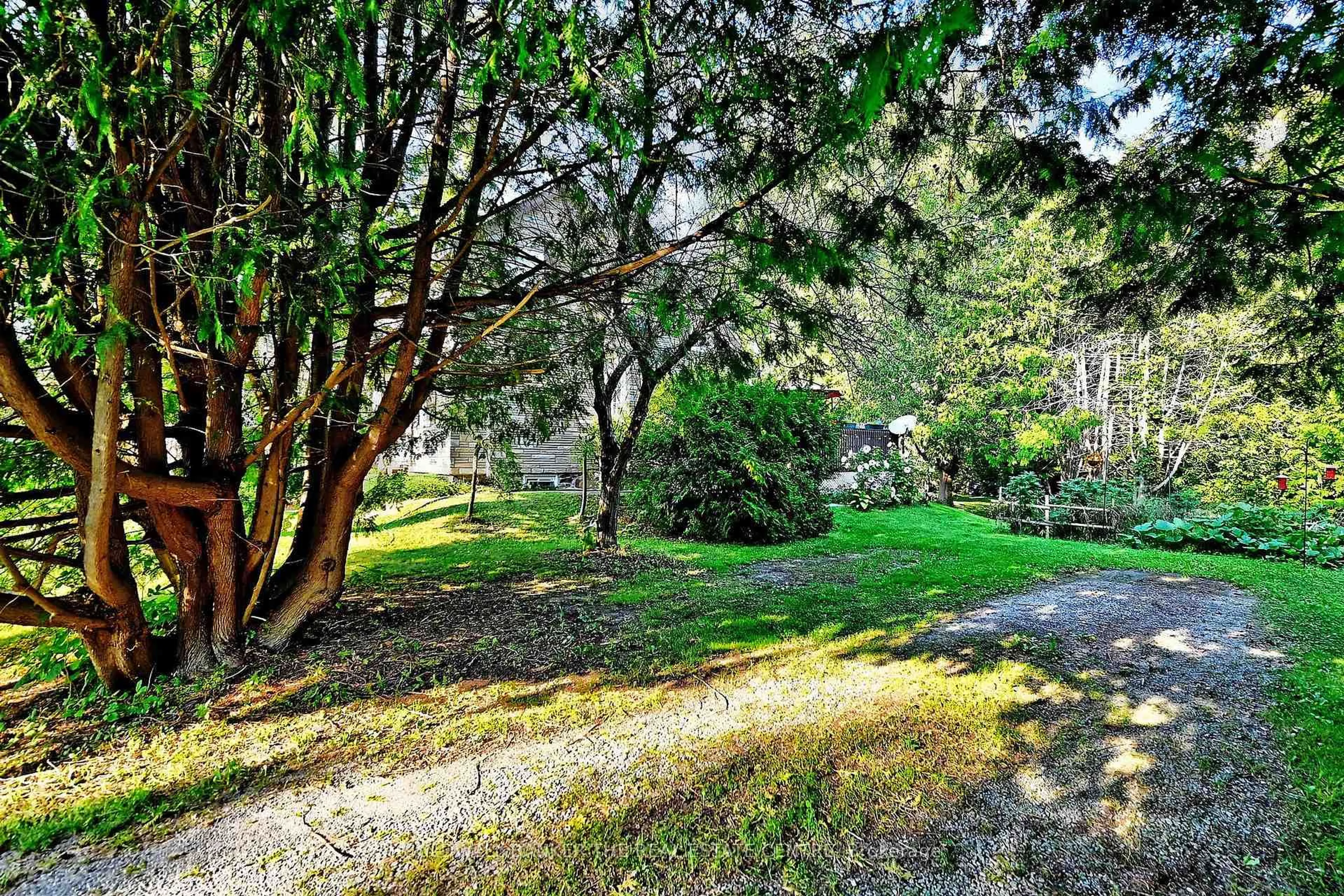 Patio, forest/trees view for 20805 Brock Rd, Brock Ontario L0E 1E0