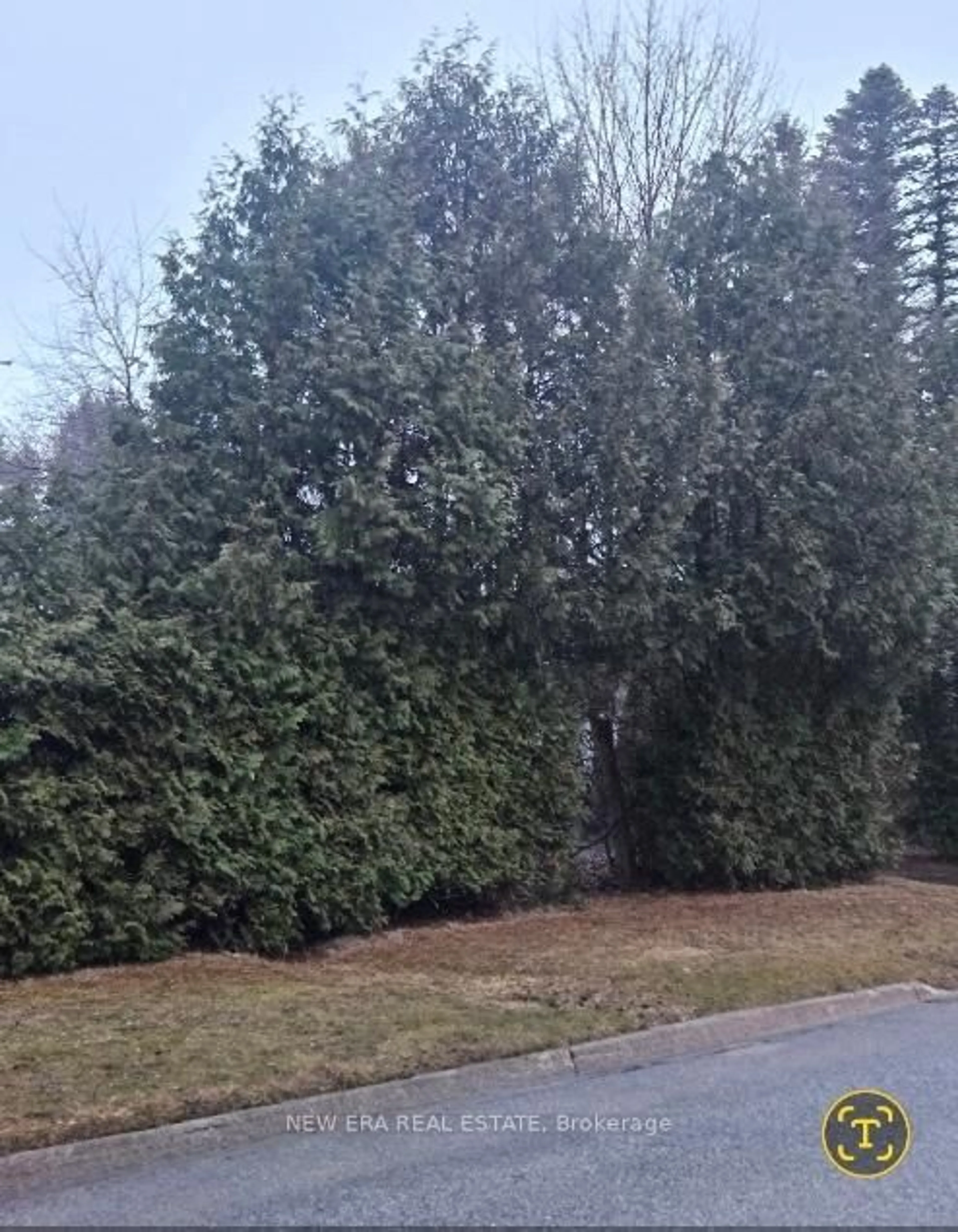 Unknown for 91 Lilly St, New Tecumseth Ontario L0G 1A0