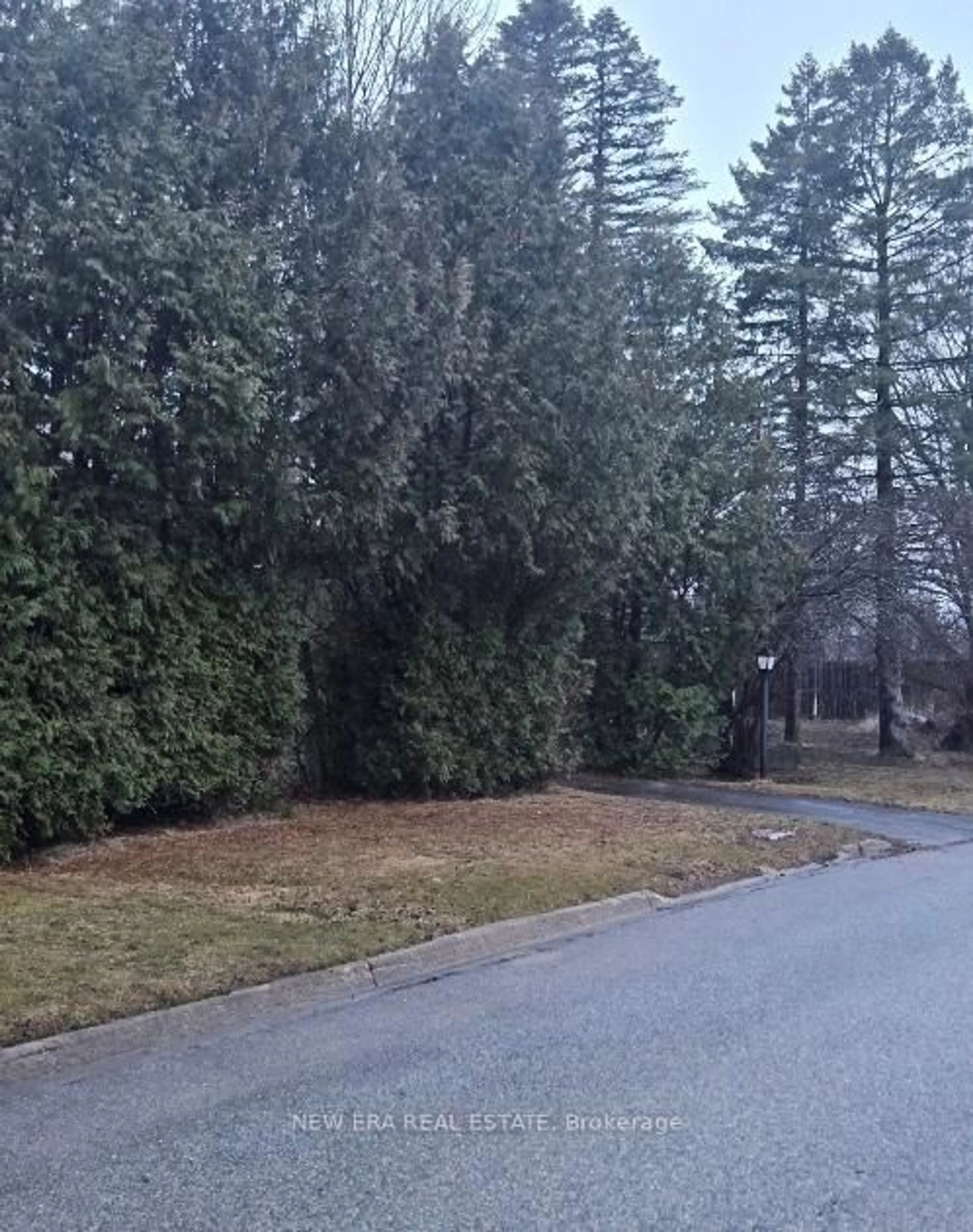 Blurry image for 91 Lilly St, New Tecumseth Ontario L0G 1A0