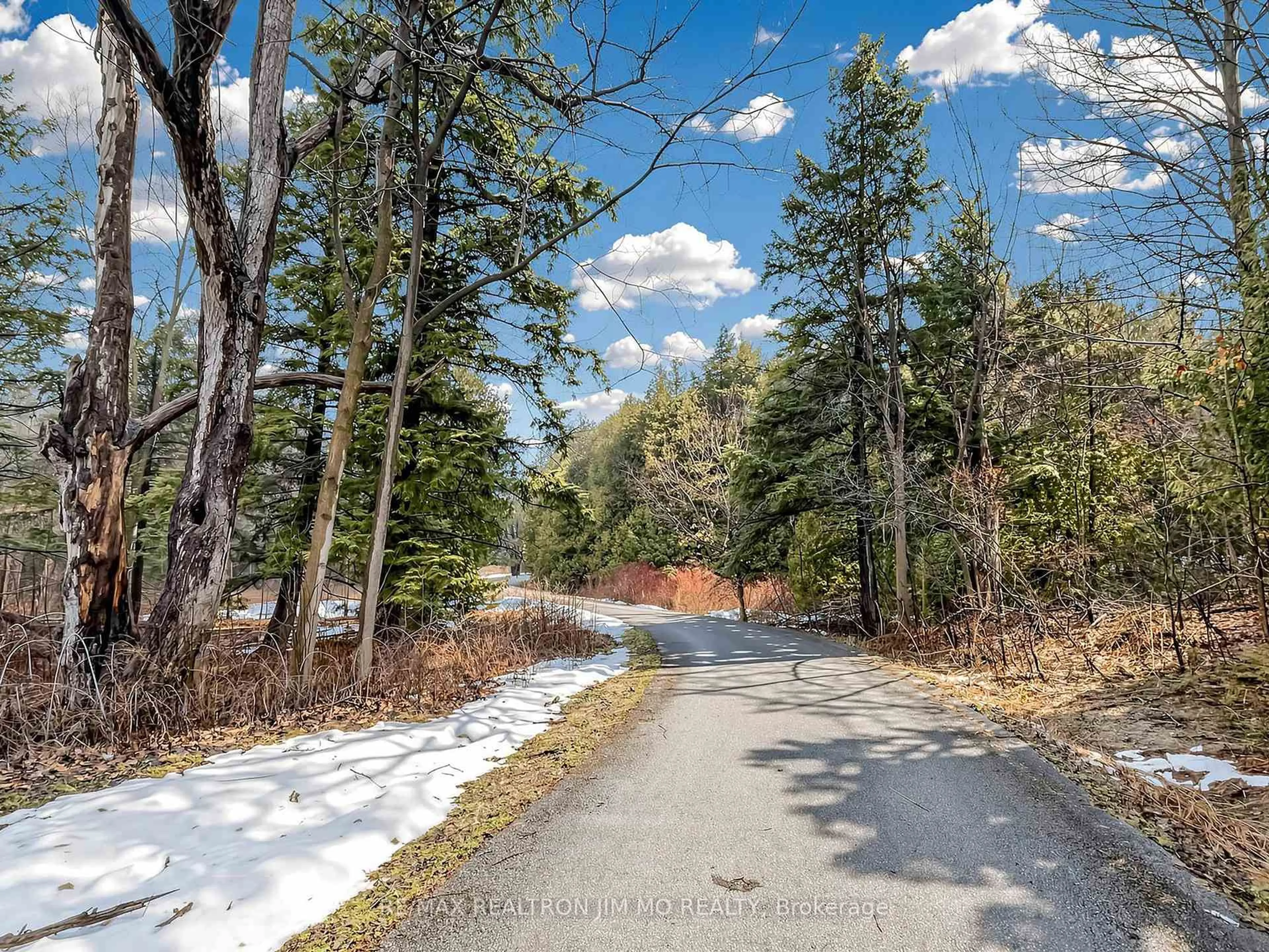 A pic from outside/outdoor area/front of a property/back of a property/a pic from drone, forest/trees view for 1785 Davis Dr, King Ontario L3Y 4V9