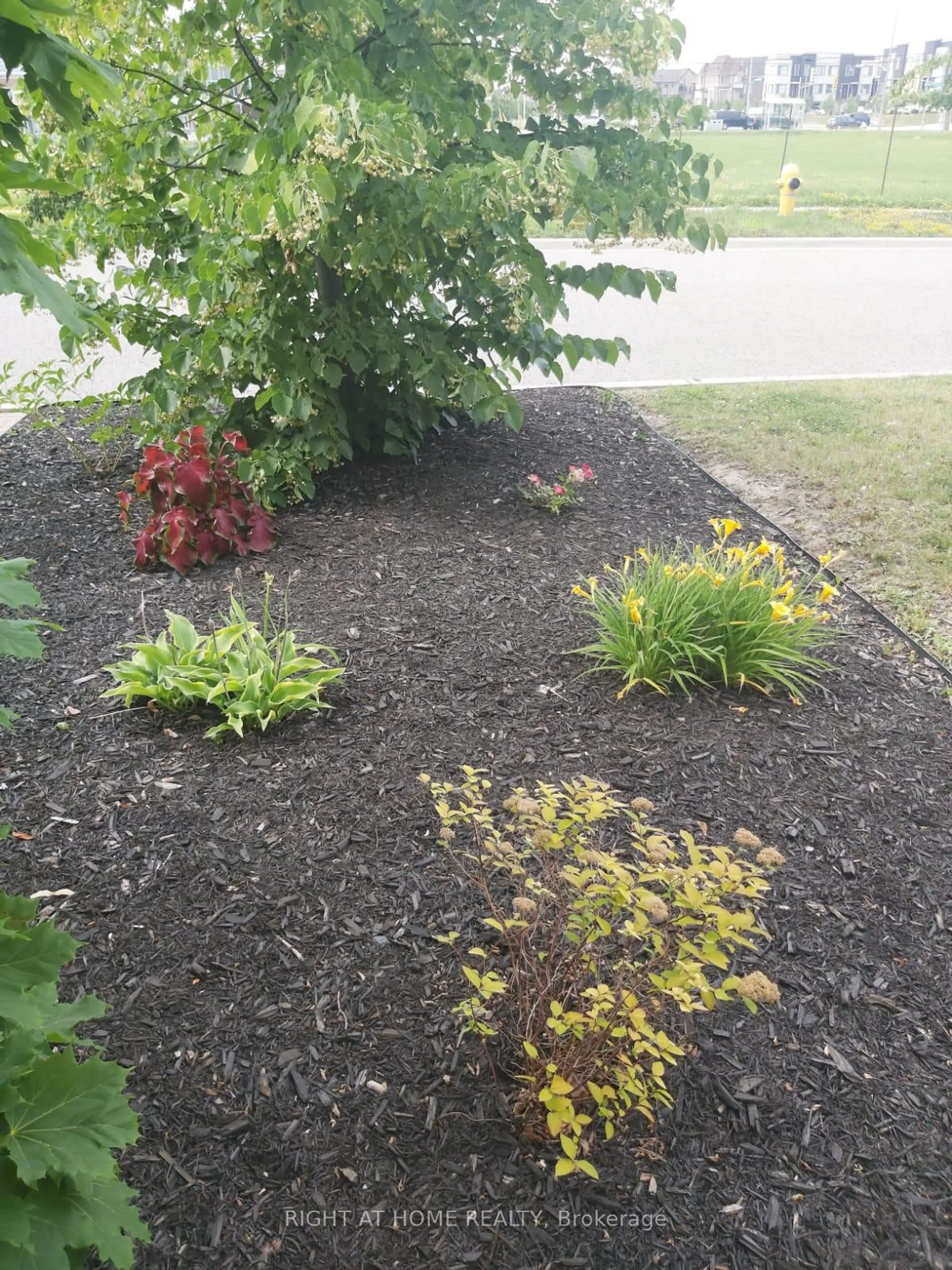Patio, street for 25 Sibella Way, Vaughan Ontario L4H 3V6