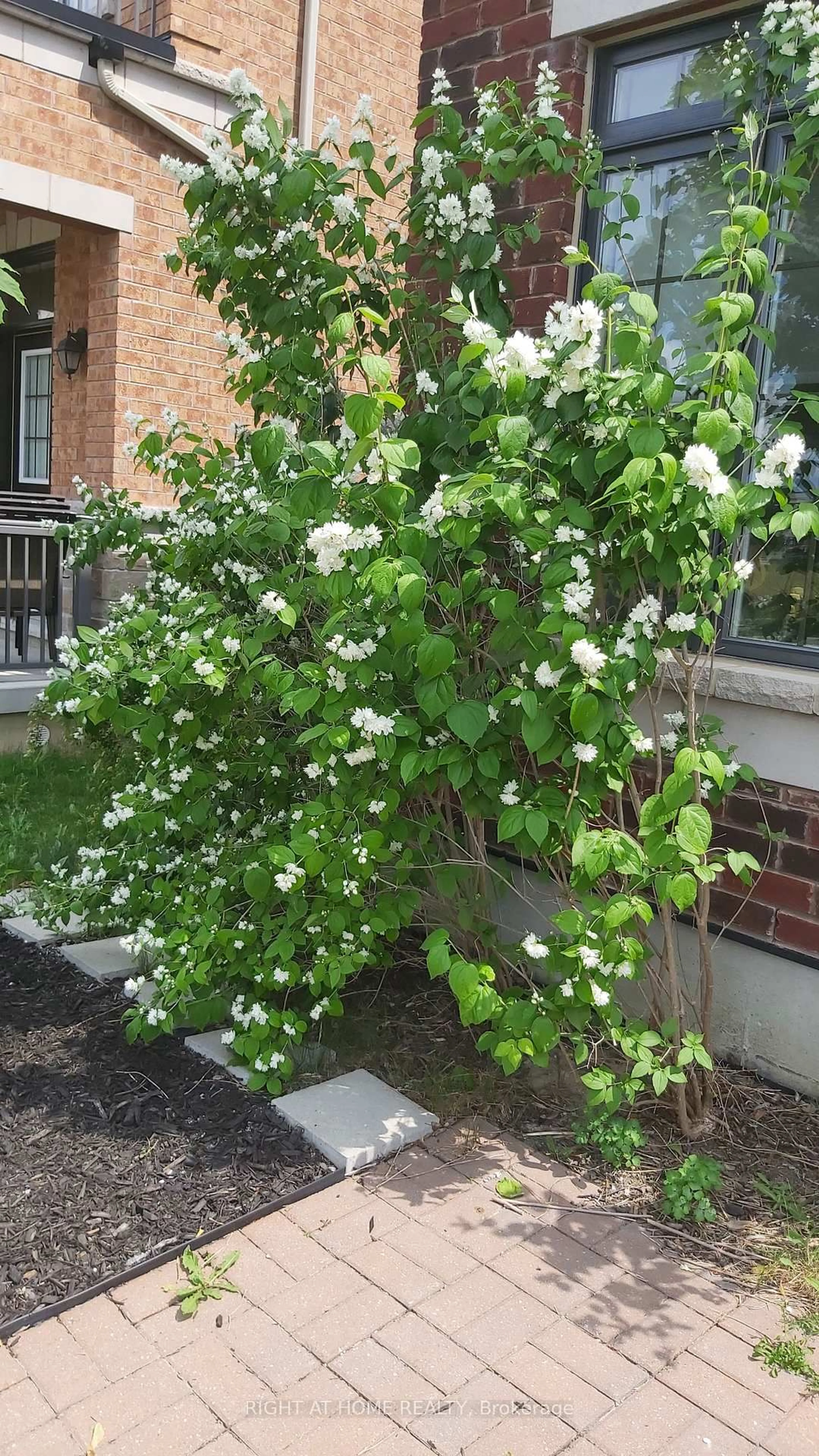 Patio, street for 25 Sibella Way, Vaughan Ontario L4H 3V6