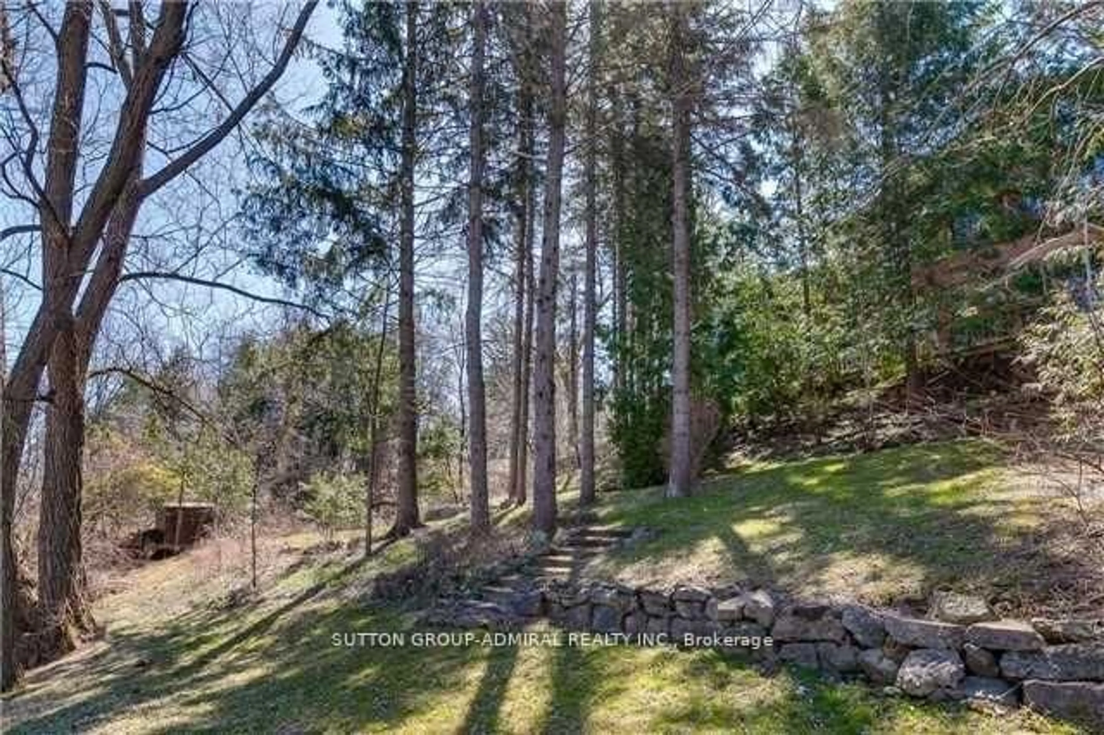A pic from outside/outdoor area/front of a property/back of a property/a pic from drone, forest/trees view for 18 Mill St, Vaughan Ontario L4J 8C5